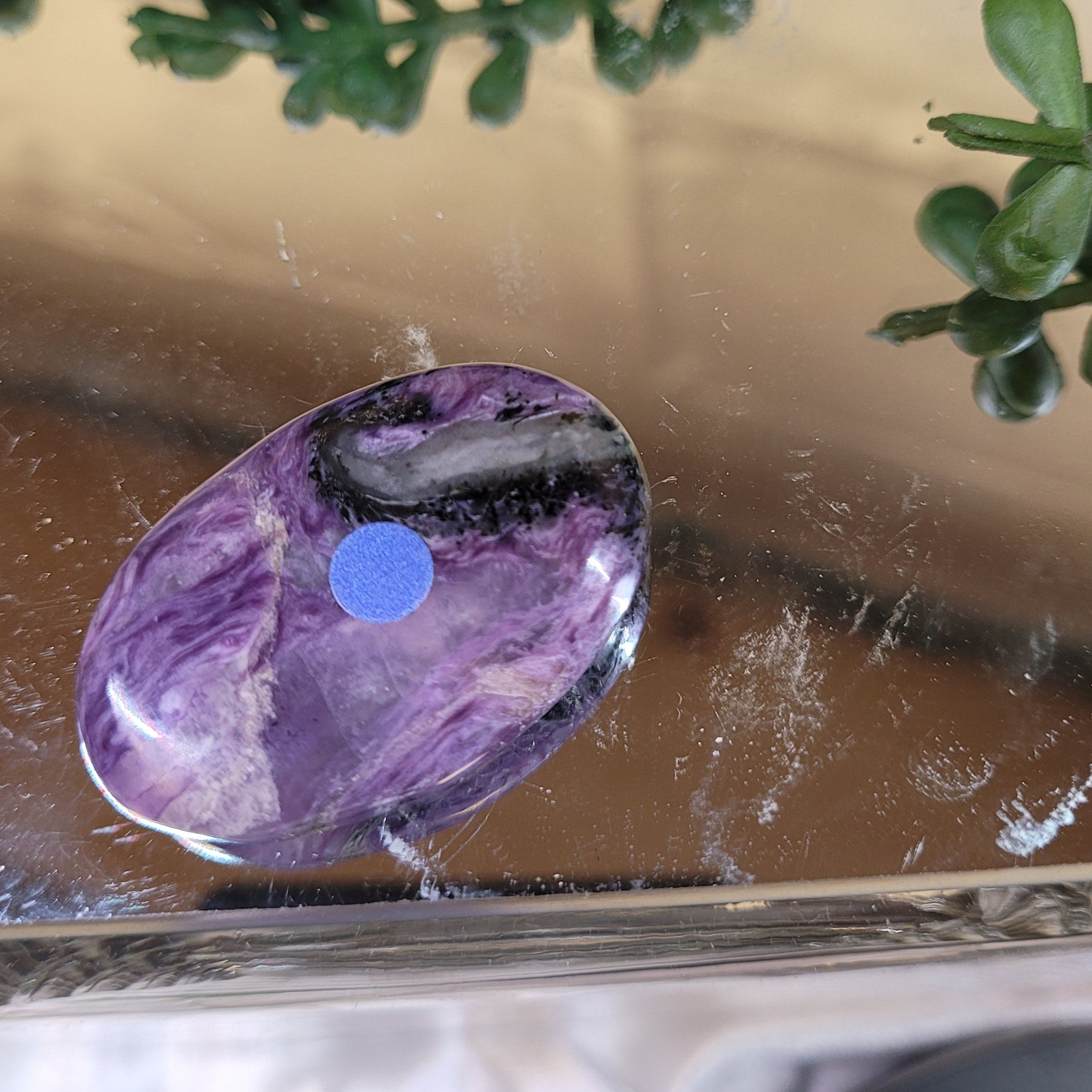 Charoite Mini Palm Stone | Polished Purple Charoite Pocket Stone