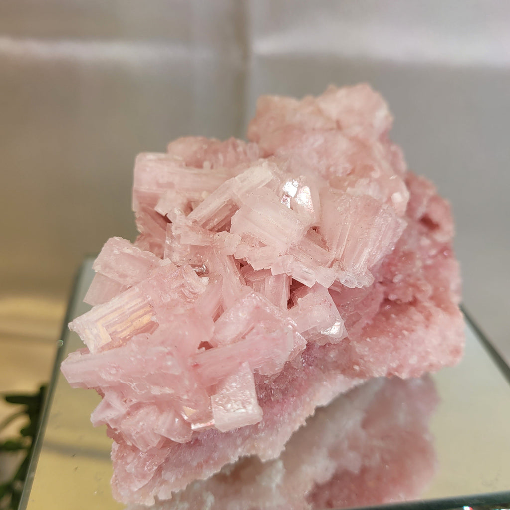 Pink Halite Crystal Specimen  | Trona, California | Natural Mineral Display Piece | 343g | 114.3mm