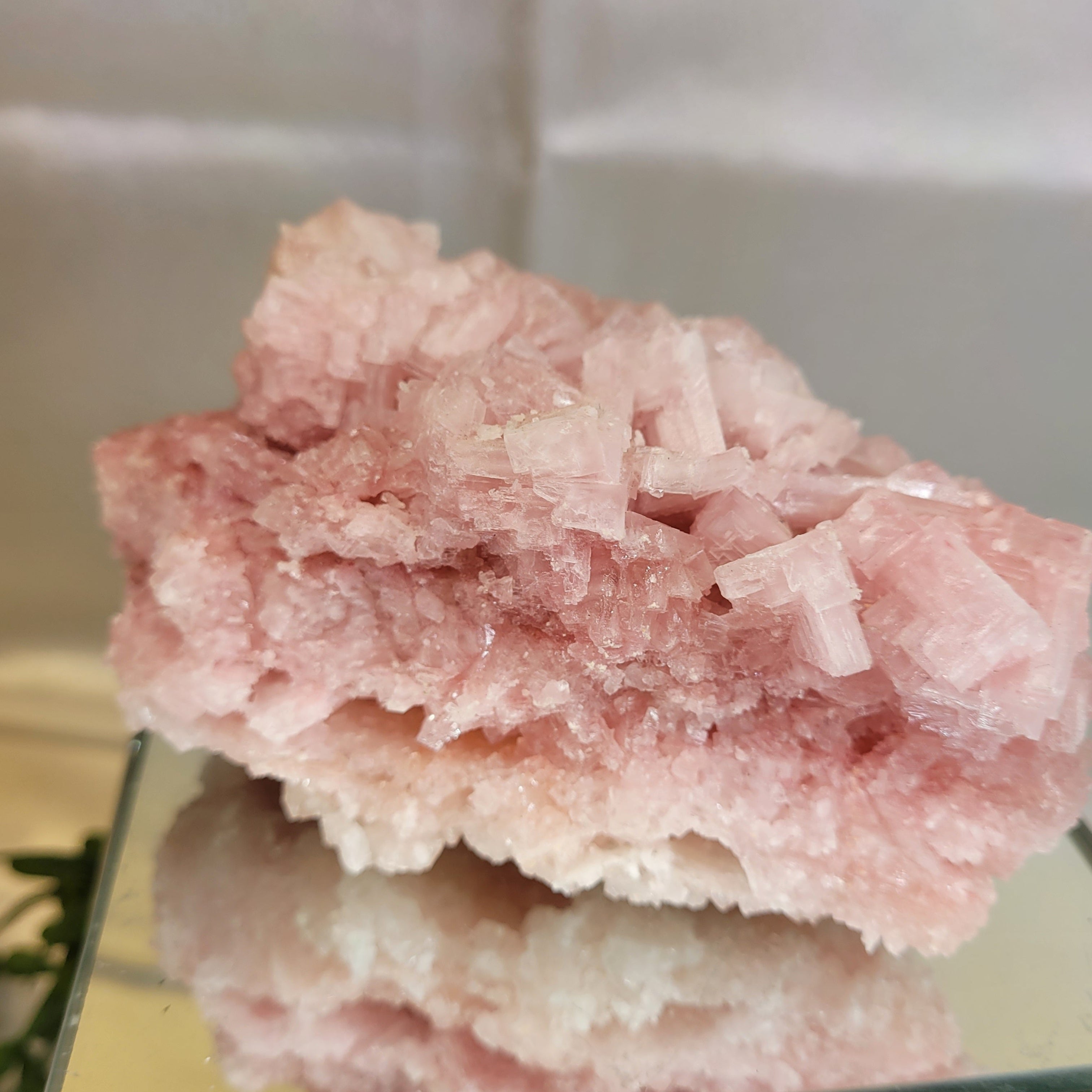 Pink Halite Crystal Specimen  | Trona, California | Natural Mineral Display Piece | 343g | 114.3mm