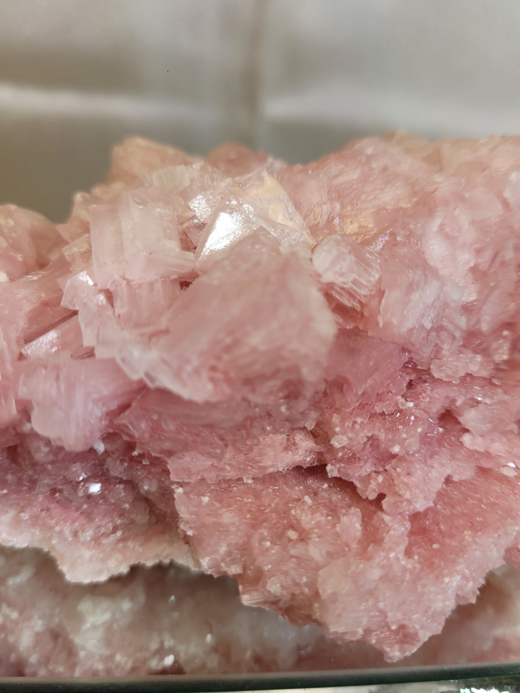Pink Halite Crystal Specimen  | Trona, California | Natural Mineral Display Piece | 343g | 114.3mm