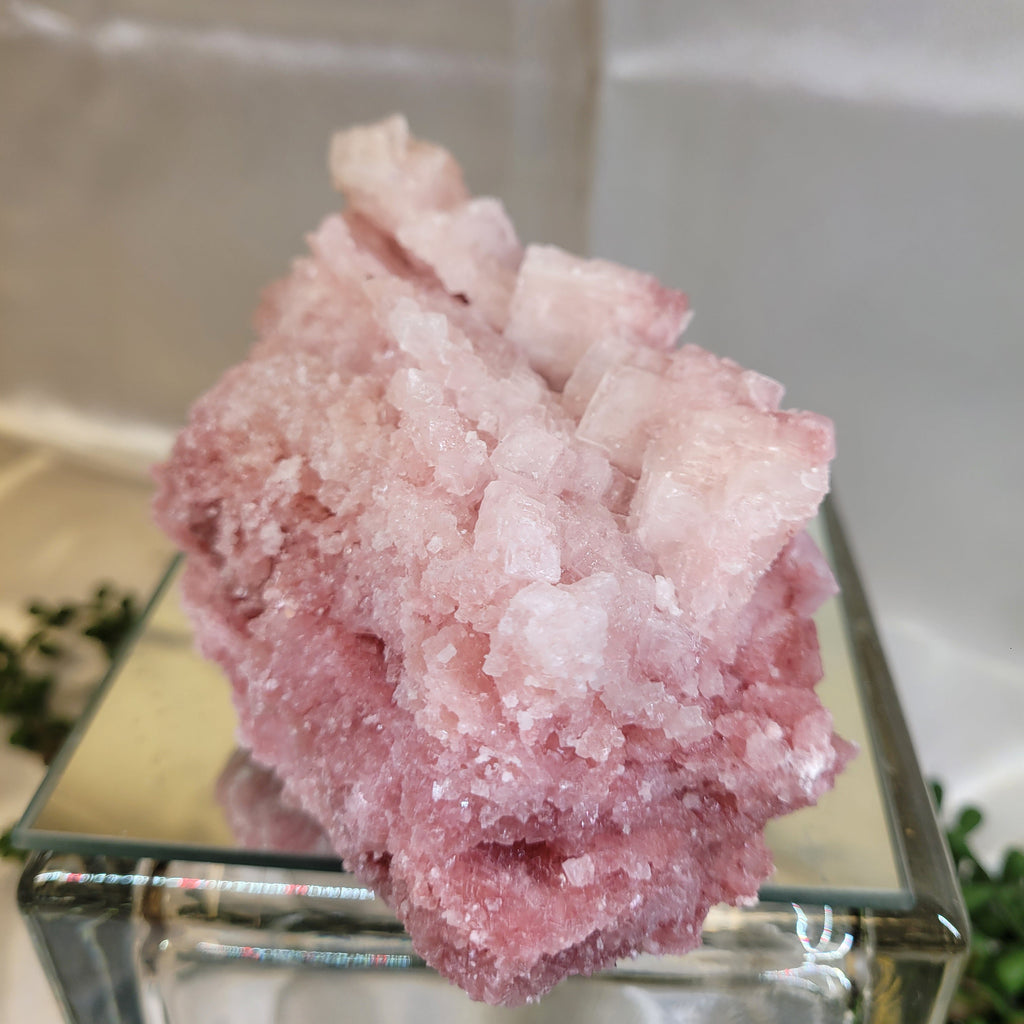 Pink Halite Crystal Specimen | Trona, California | Natural Pink Halite Cluster | 405g | 120.2mm
