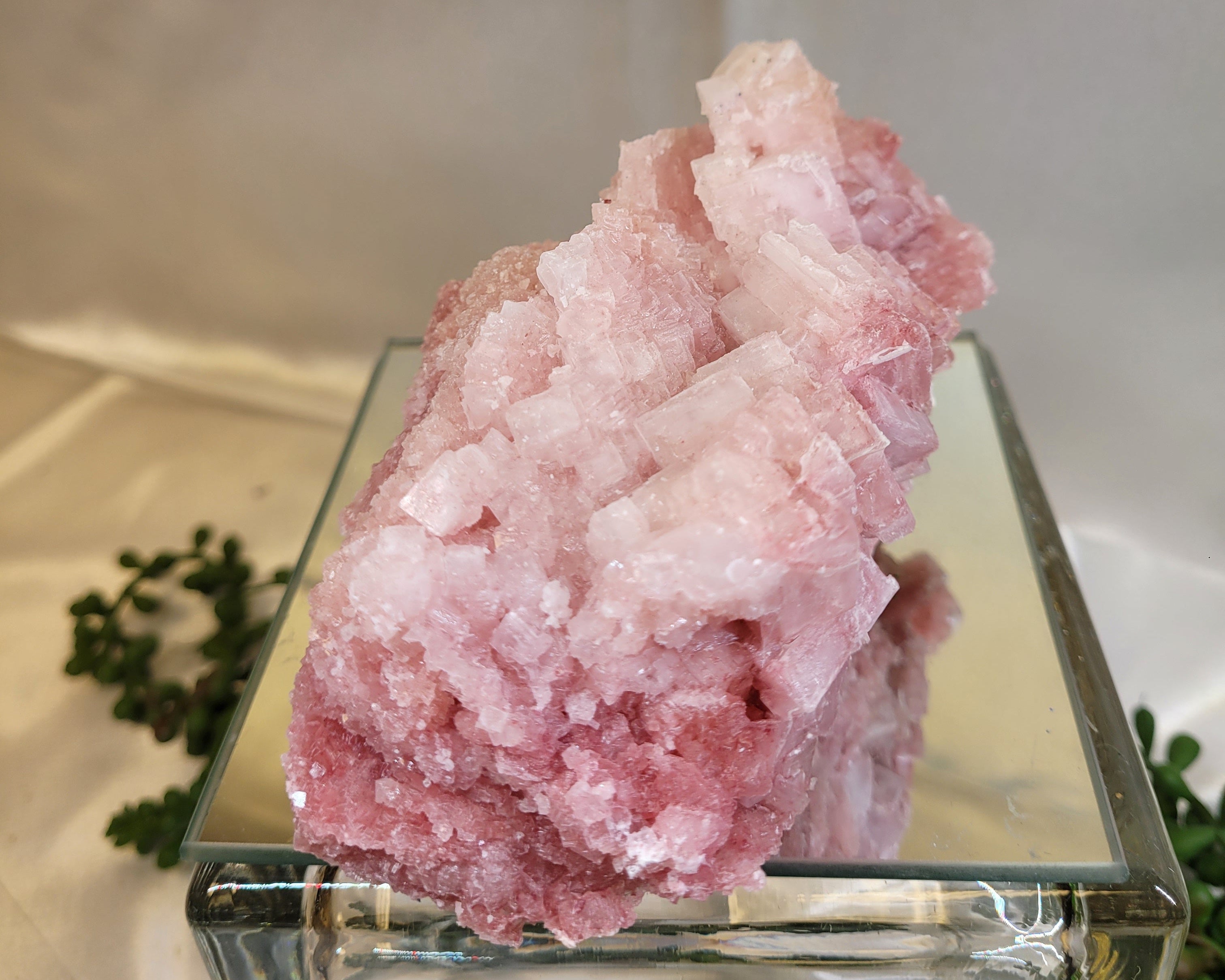 Pink Halite Crystal Specimen | Trona, California | Natural Pink Halite Cluster | 405g | 120.2mm
