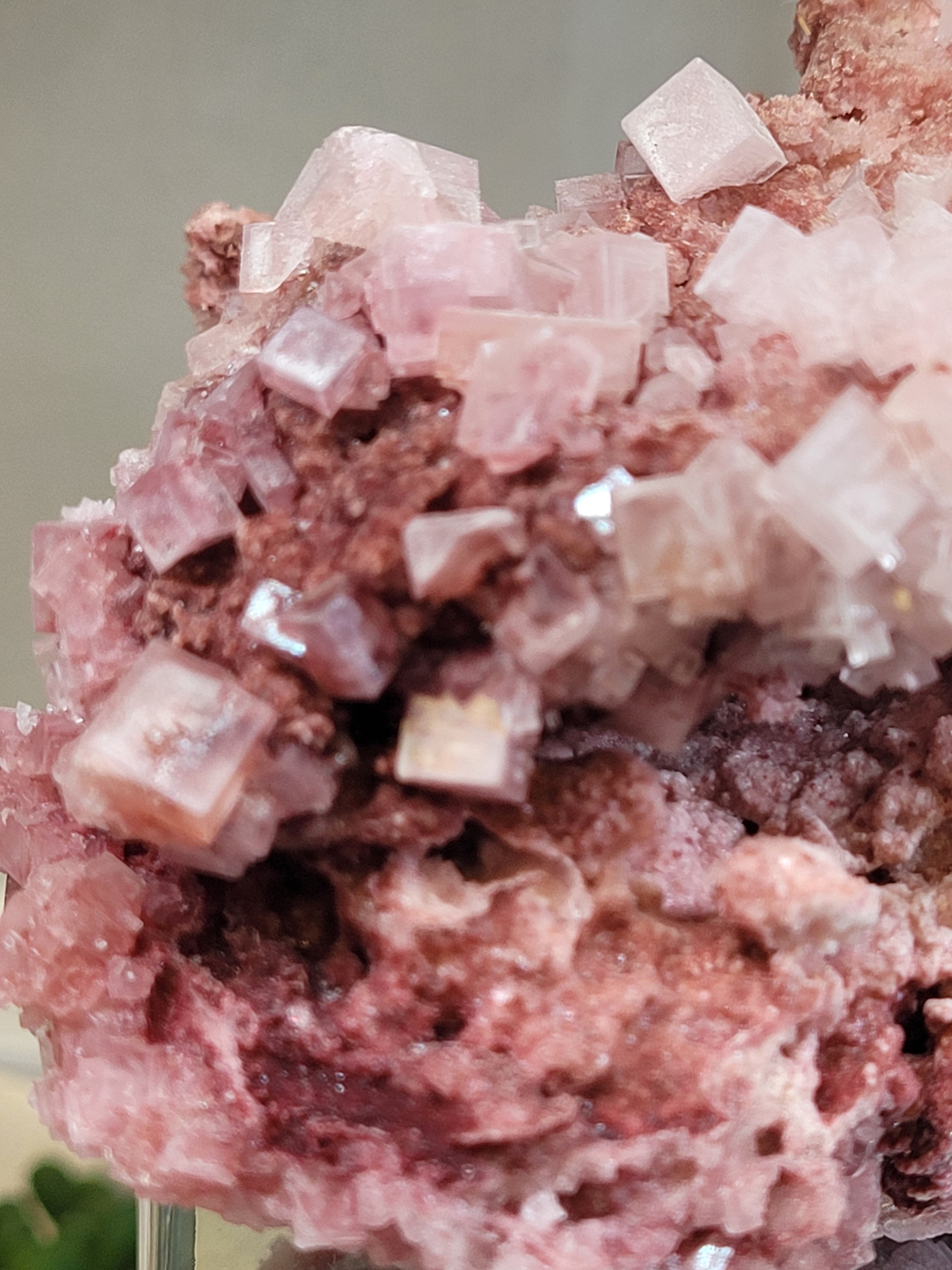 Pink Halite Crystal Specimen | Trona, California | Collector Mineral Display Piece | 445g | 134.3mm