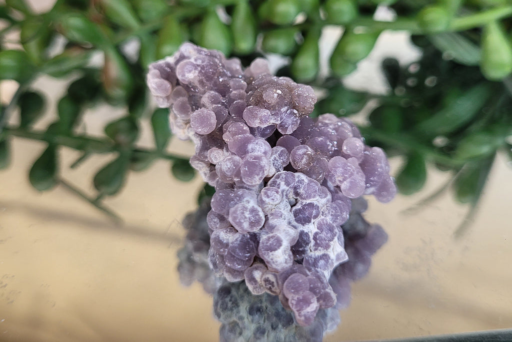 Natural Purple Grape Agate Specimen | Botryoidal Chalcedony Cluster | 47.6mm | 26g