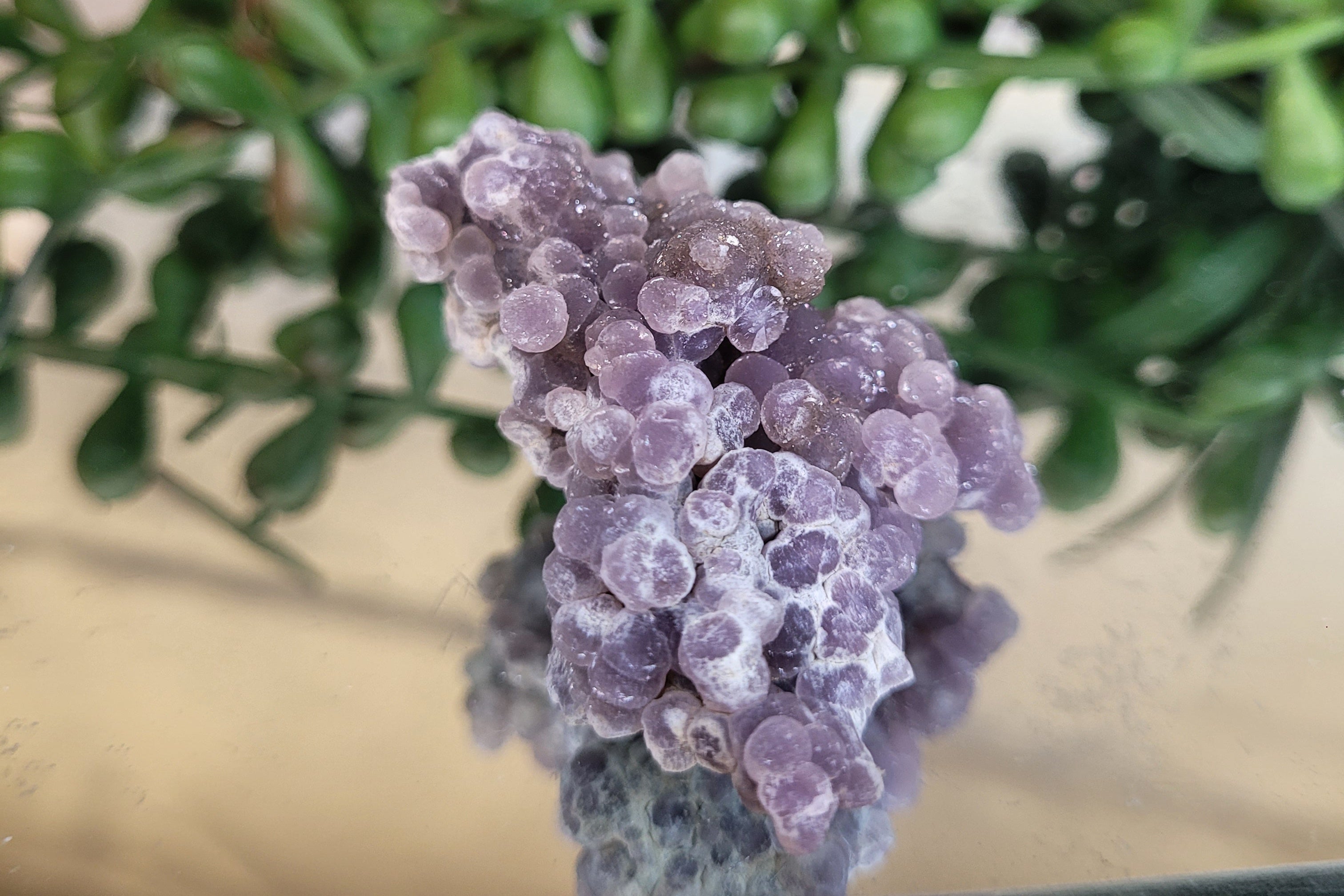 Natural Purple Grape Agate Specimen | Botryoidal Chalcedony Cluster | 47.6mm | 26g