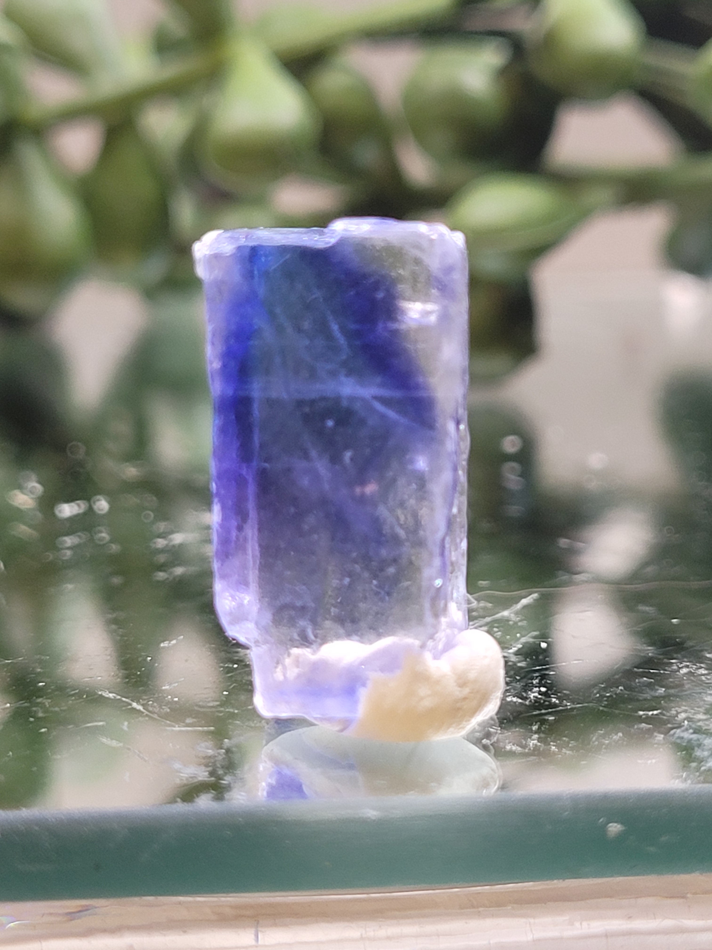 Blue Halite Crystal Specimen | Natural Deep Blue Salt Crystal | Rare Mineral Collector Piece | 18.6mm | 2g