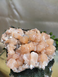 Peach Stilbite with Apophyllite on Matrix | Natural Mineral Specimen | Exact Piece