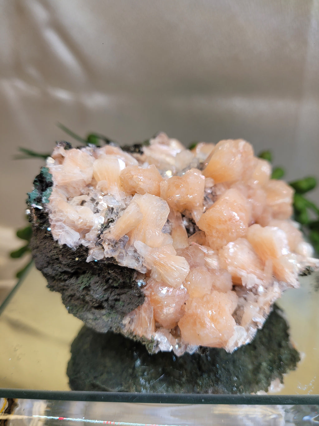 Peach Stilbite with Apophyllite on Matrix | Natural Mineral Specimen | Exact Piece