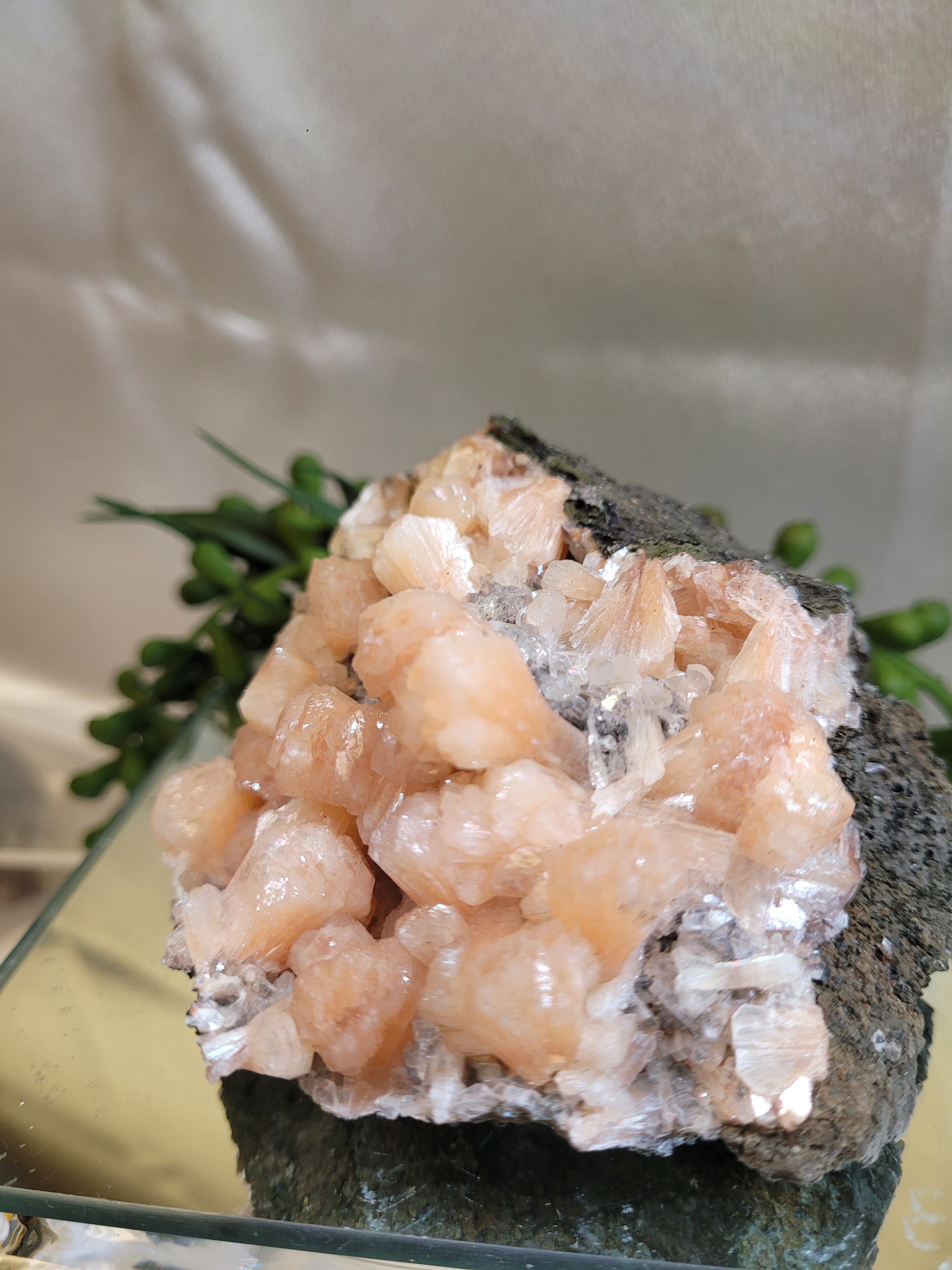 Peach Stilbite with Apophyllite on Matrix | Natural Mineral Specimen | Exact Piece