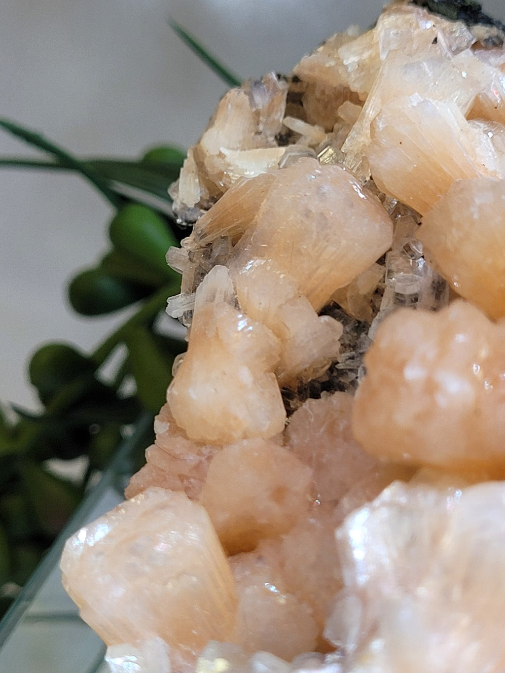 Peach Stilbite with Apophyllite on Matrix | Natural Mineral Specimen | Exact Piece