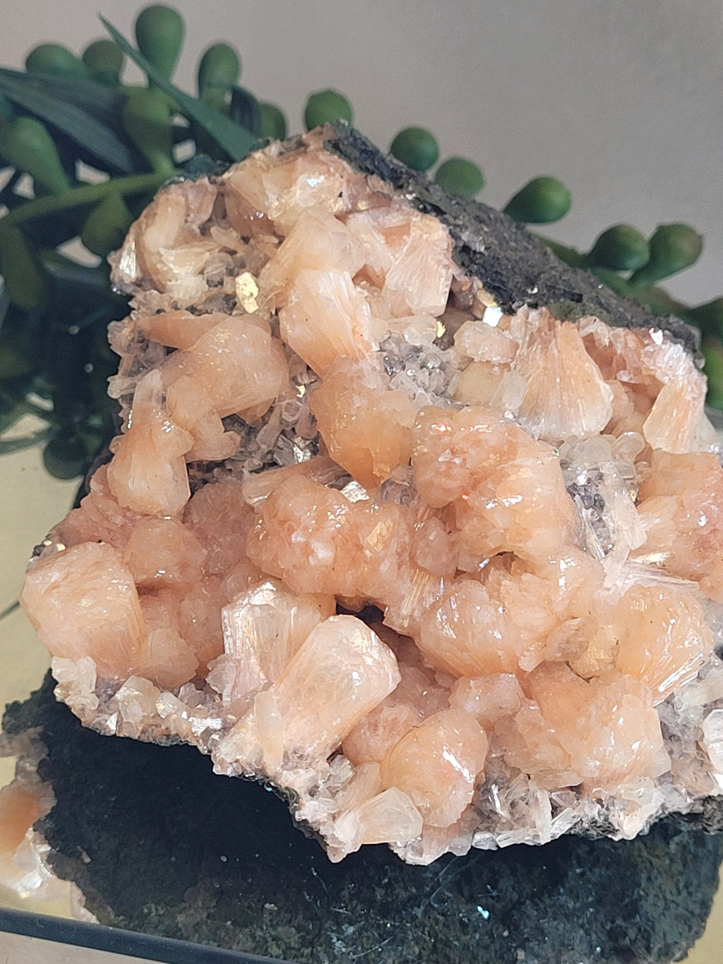 Peach Stilbite with Apophyllite on Matrix | Natural Mineral Specimen | Exact Piece