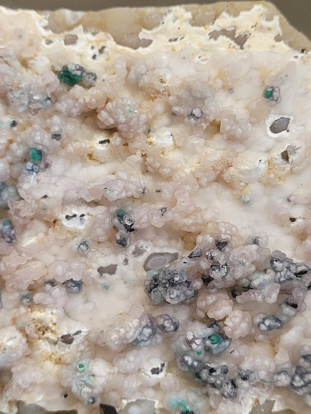 Botryoidal Chrysocolla on Chalcedony | Natural Mineral Specimen | Exact Piece