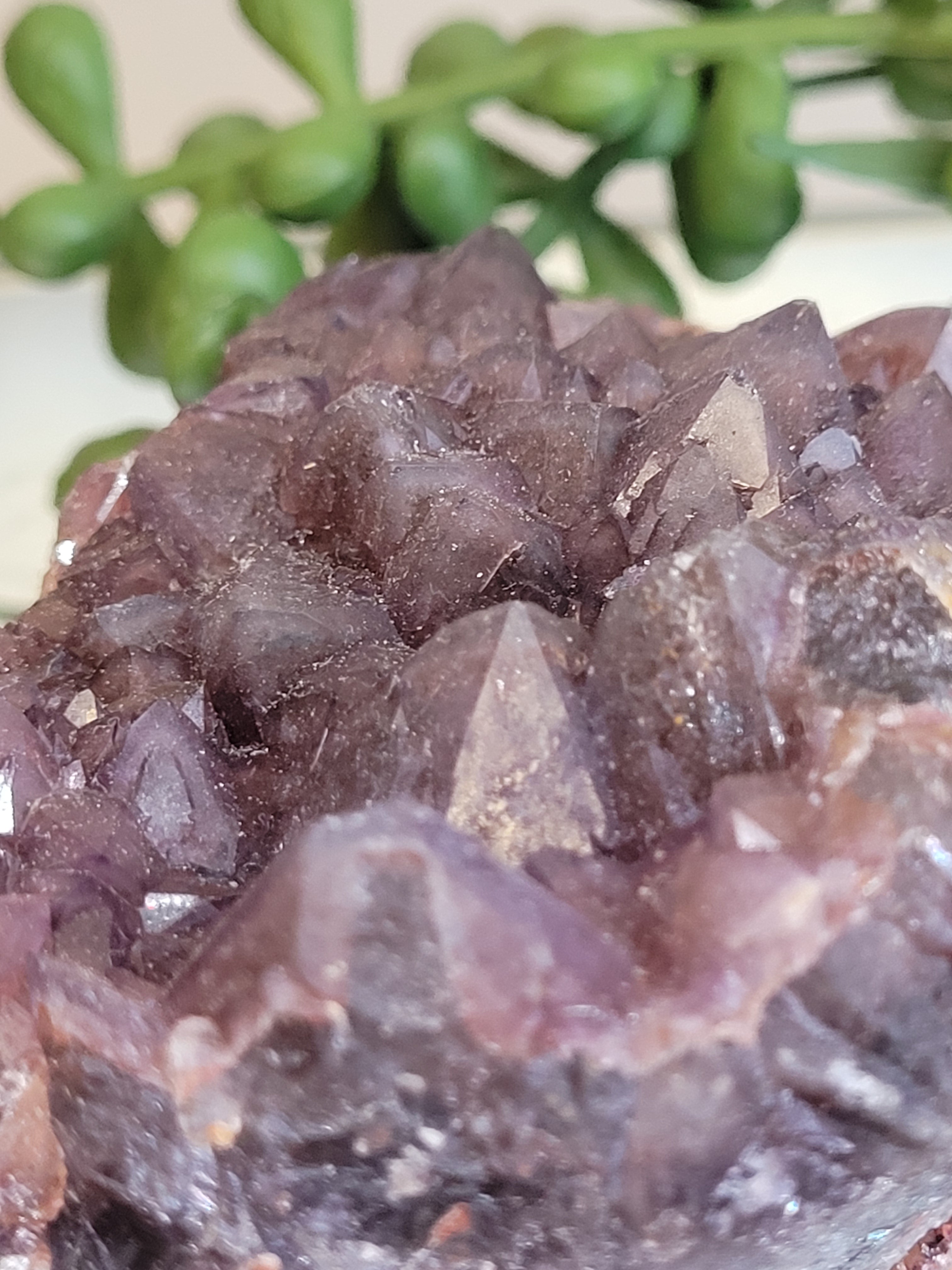 Alien Amethyst Crystal Cluster | 160g Purple Amethyst Specimen | Natural Collector Mineral | One of a Kind Display Piece
