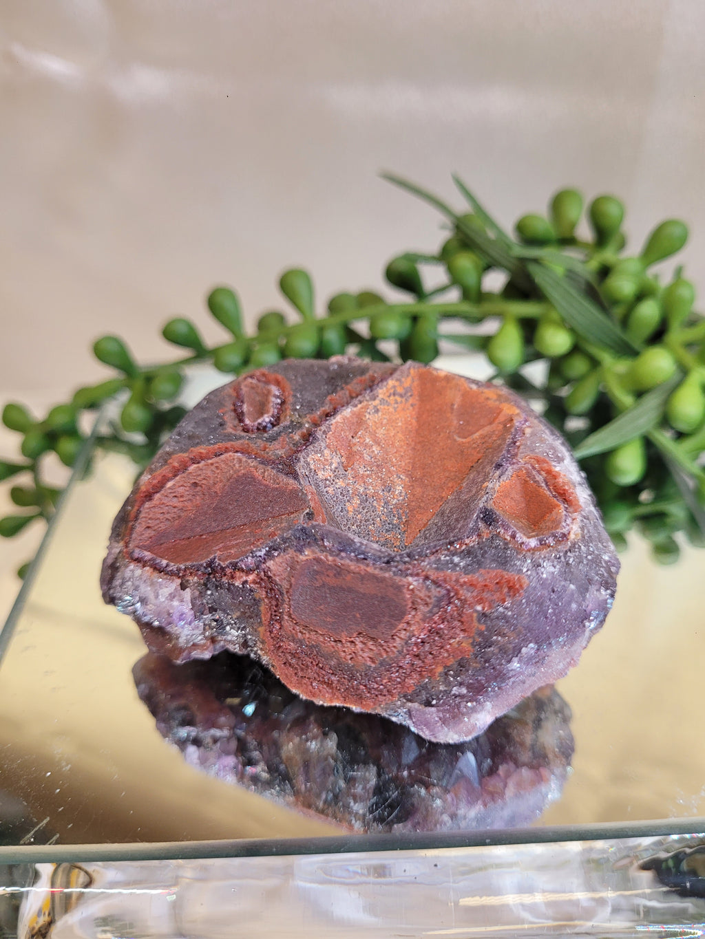 Alien Amethyst Crystal Cluster | 160g Purple Amethyst Specimen | Natural Collector Mineral | One of a Kind Display Piece