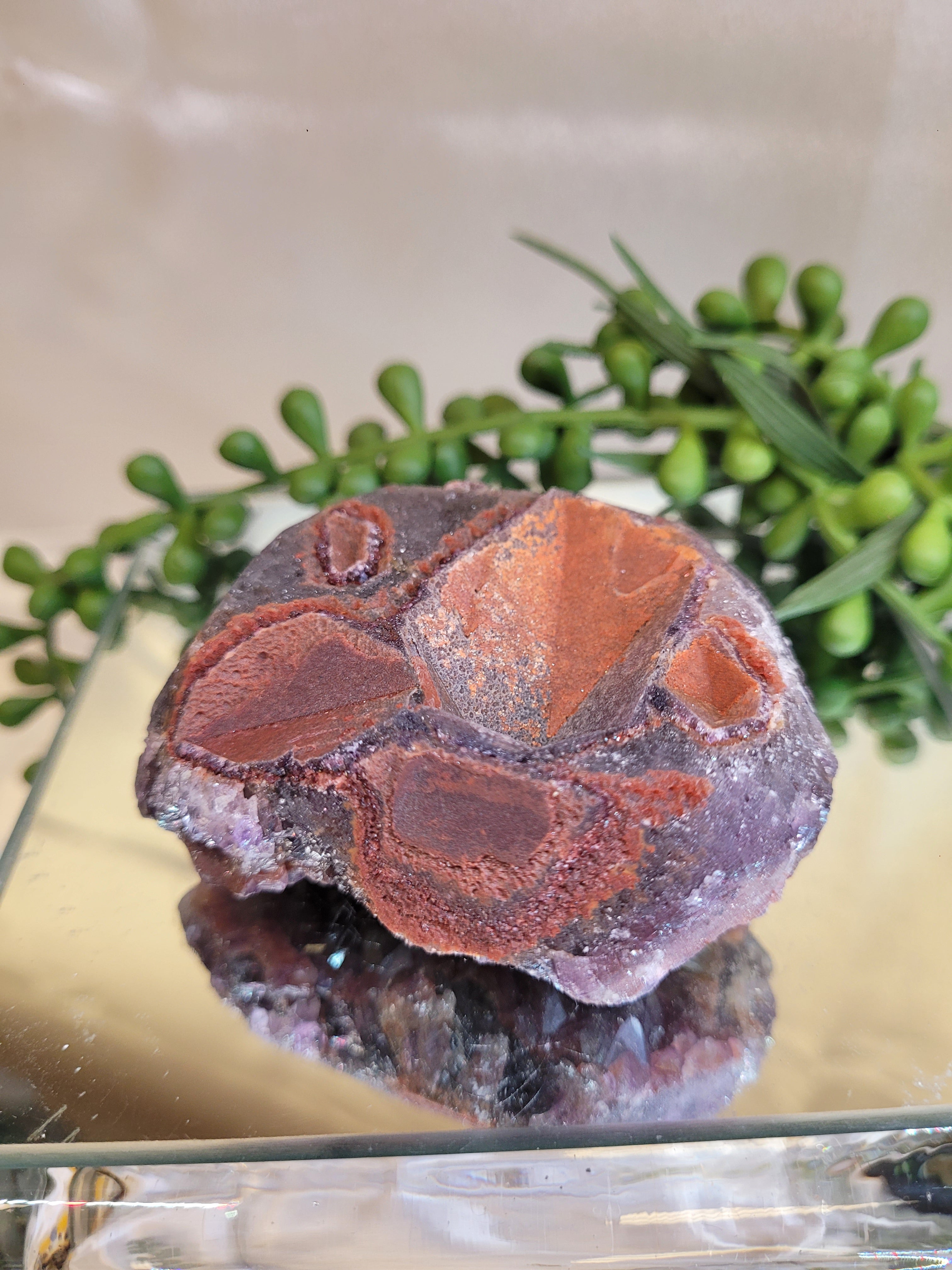 Alien Amethyst Crystal Cluster | 160g Purple Amethyst Specimen | Natural Collector Mineral | One of a Kind Display Piece