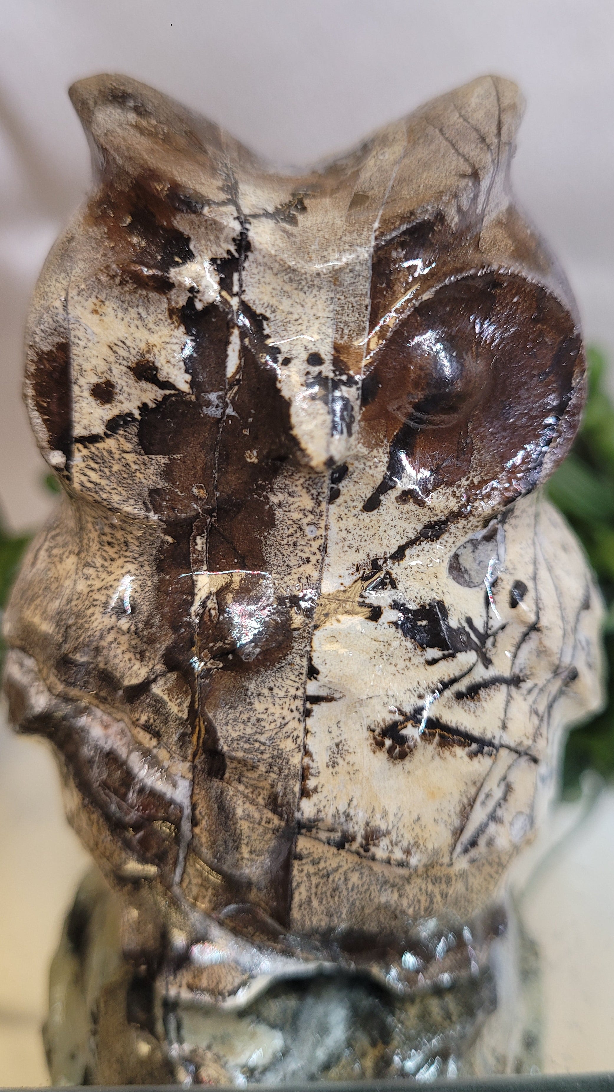 Picture Jasper Owl | One of a Kind 🦉