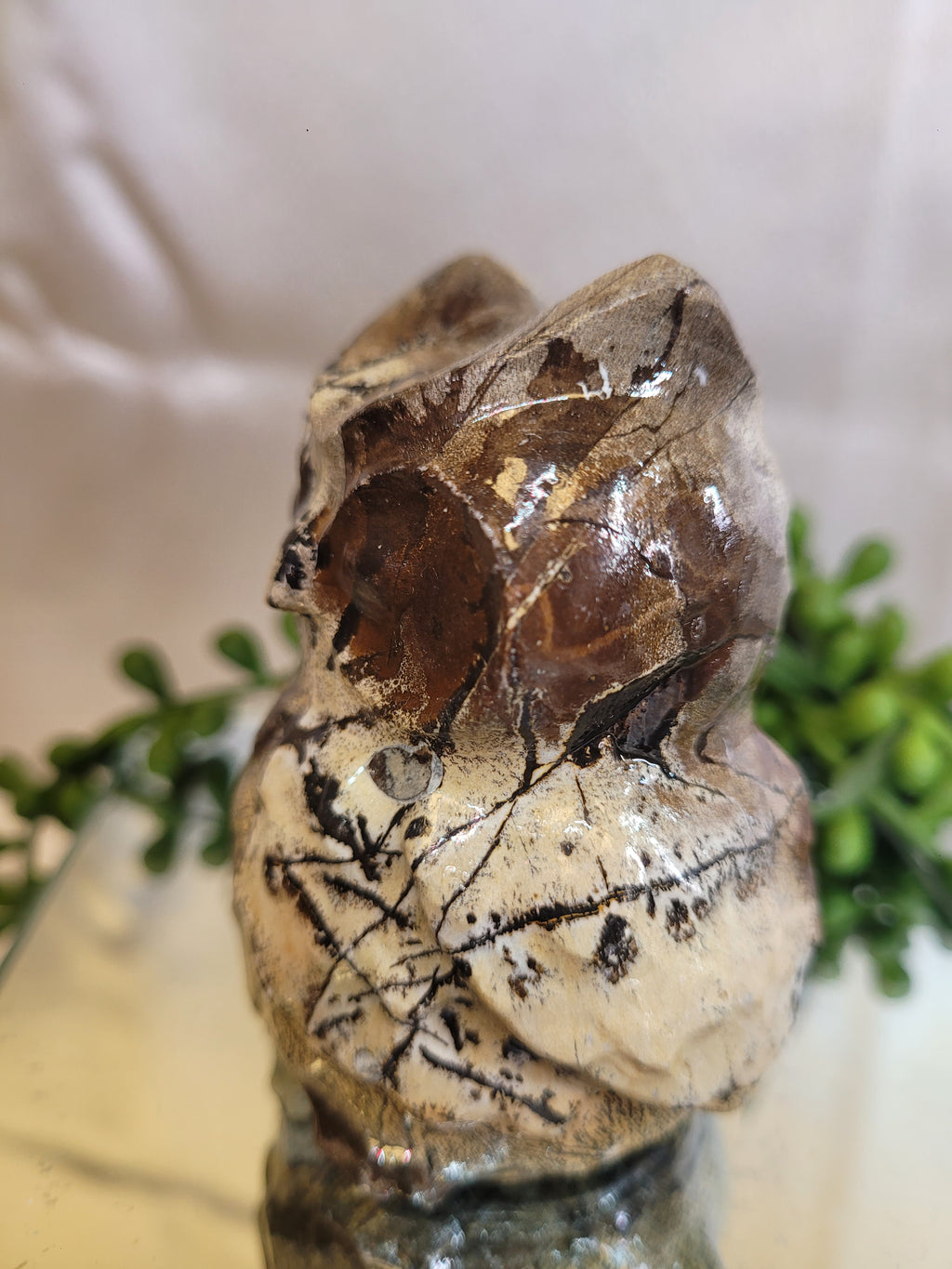 Picture Jasper Owl | One of a Kind 🦉