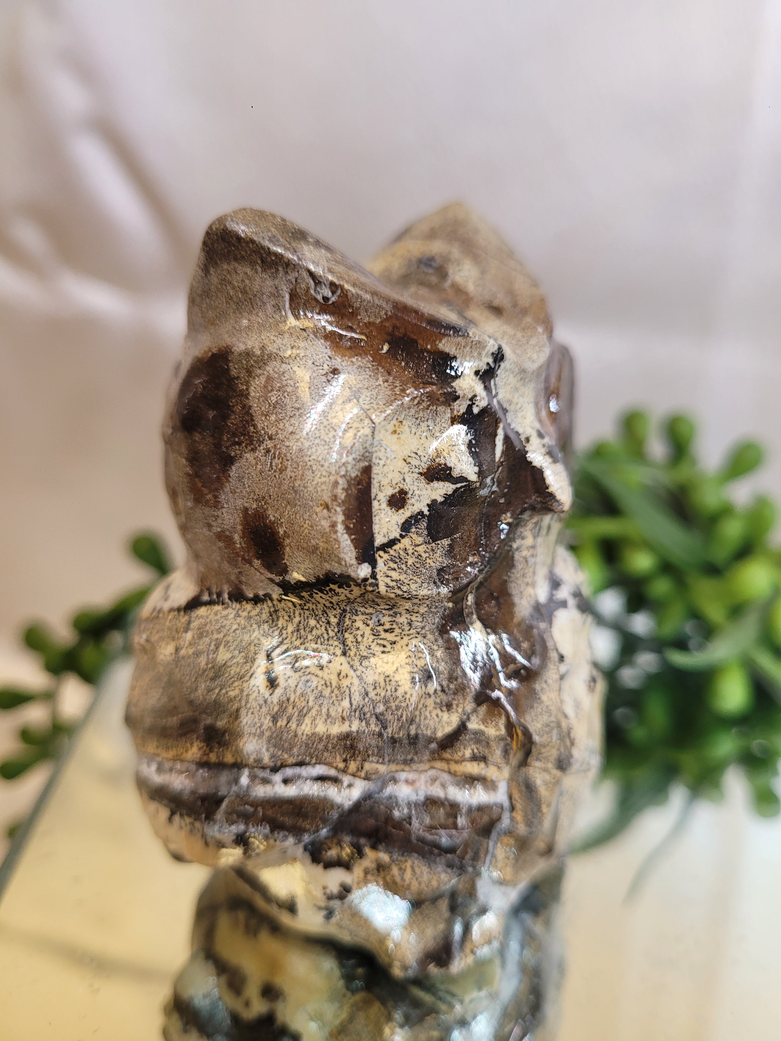 Picture Jasper Owl | One of a Kind 🦉