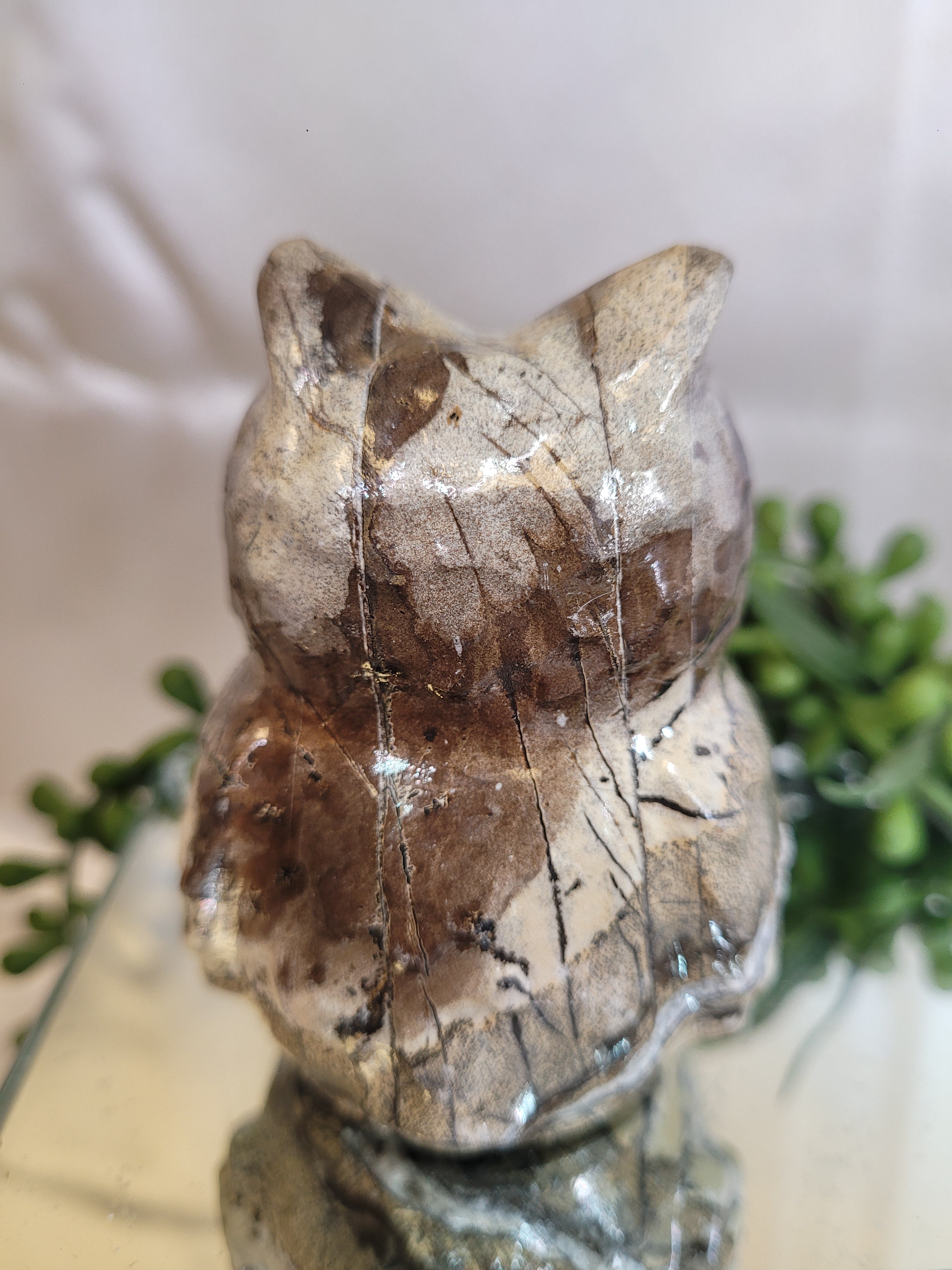Picture Jasper Owl | One of a Kind 🦉