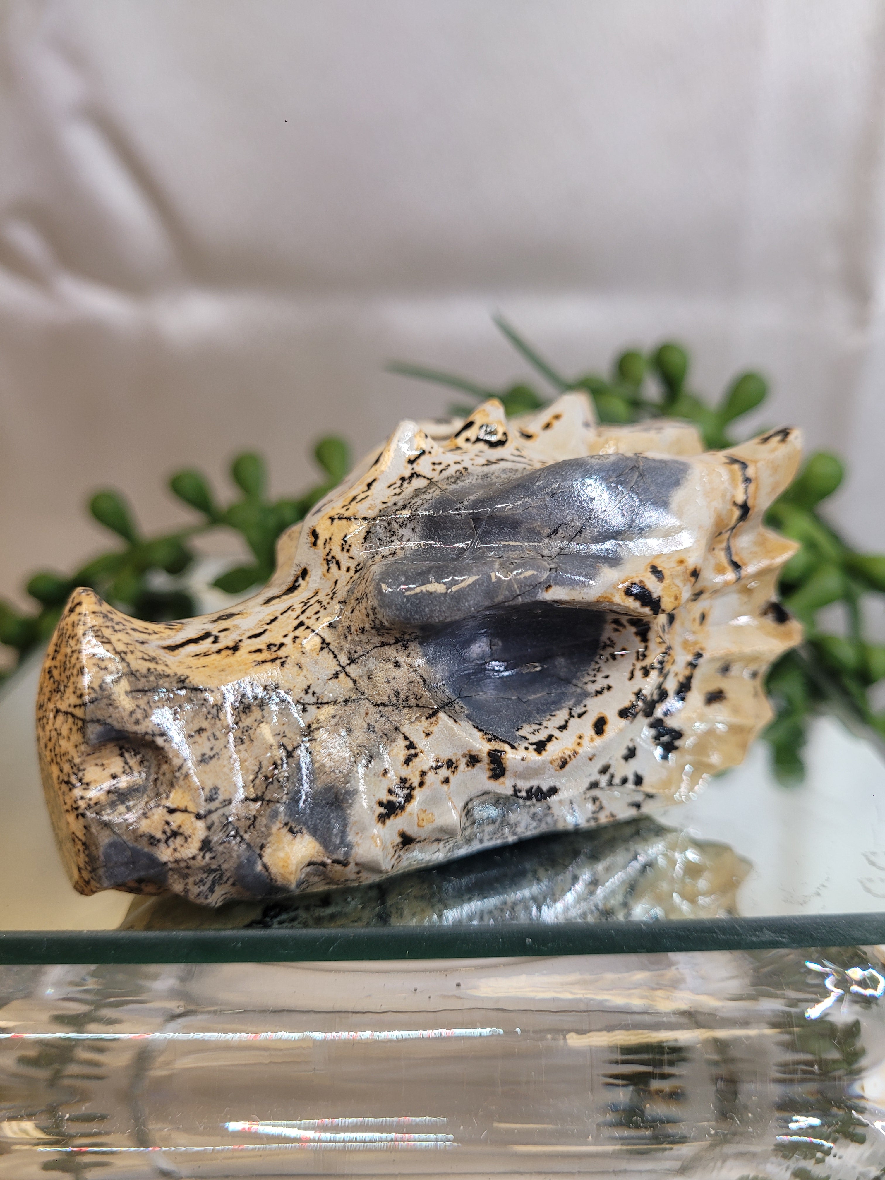 Picture Jasper Dragon Head Carving | Natural Crystal Dragon Skull | 75.2mm | One-of-a-Kind