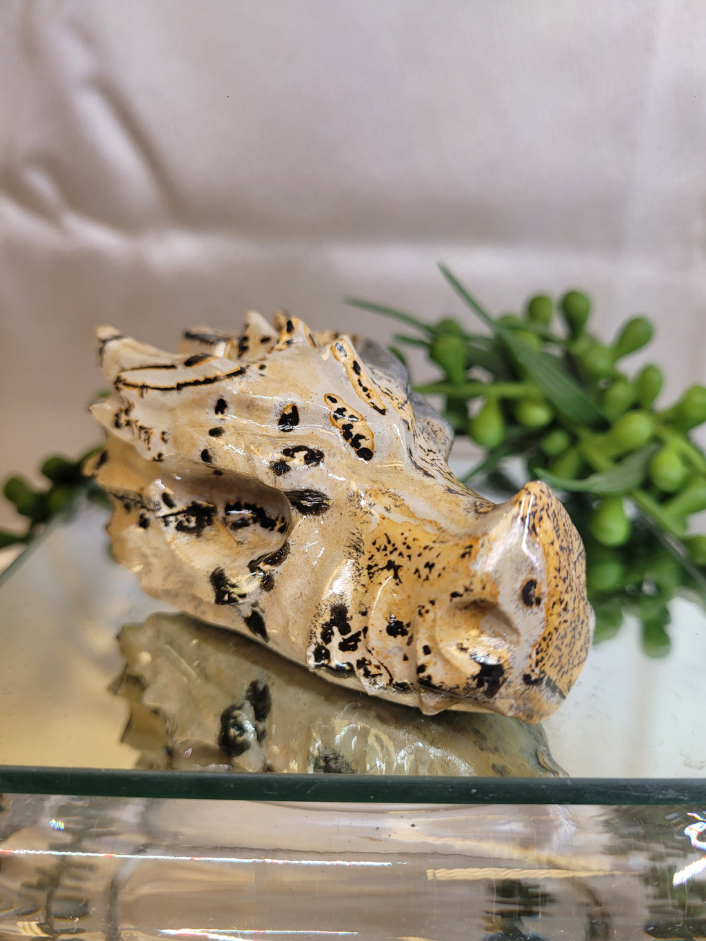 Picture Jasper Dragon Head Carving | Natural Crystal Dragon Skull | 75.2mm | One-of-a-Kind
