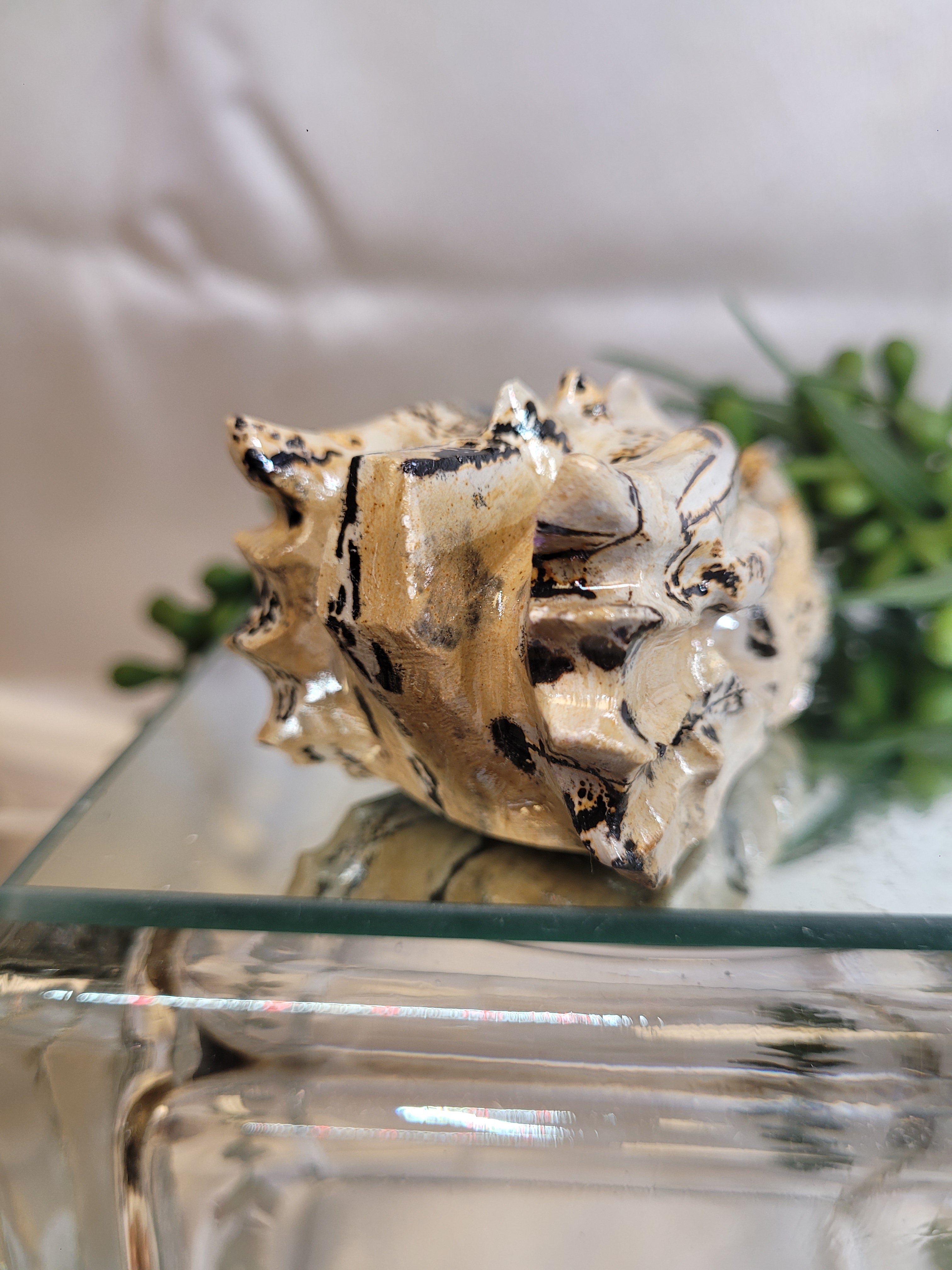 Picture Jasper Dragon Head Carving | Natural Crystal Dragon Skull | 75.2mm | One-of-a-Kind