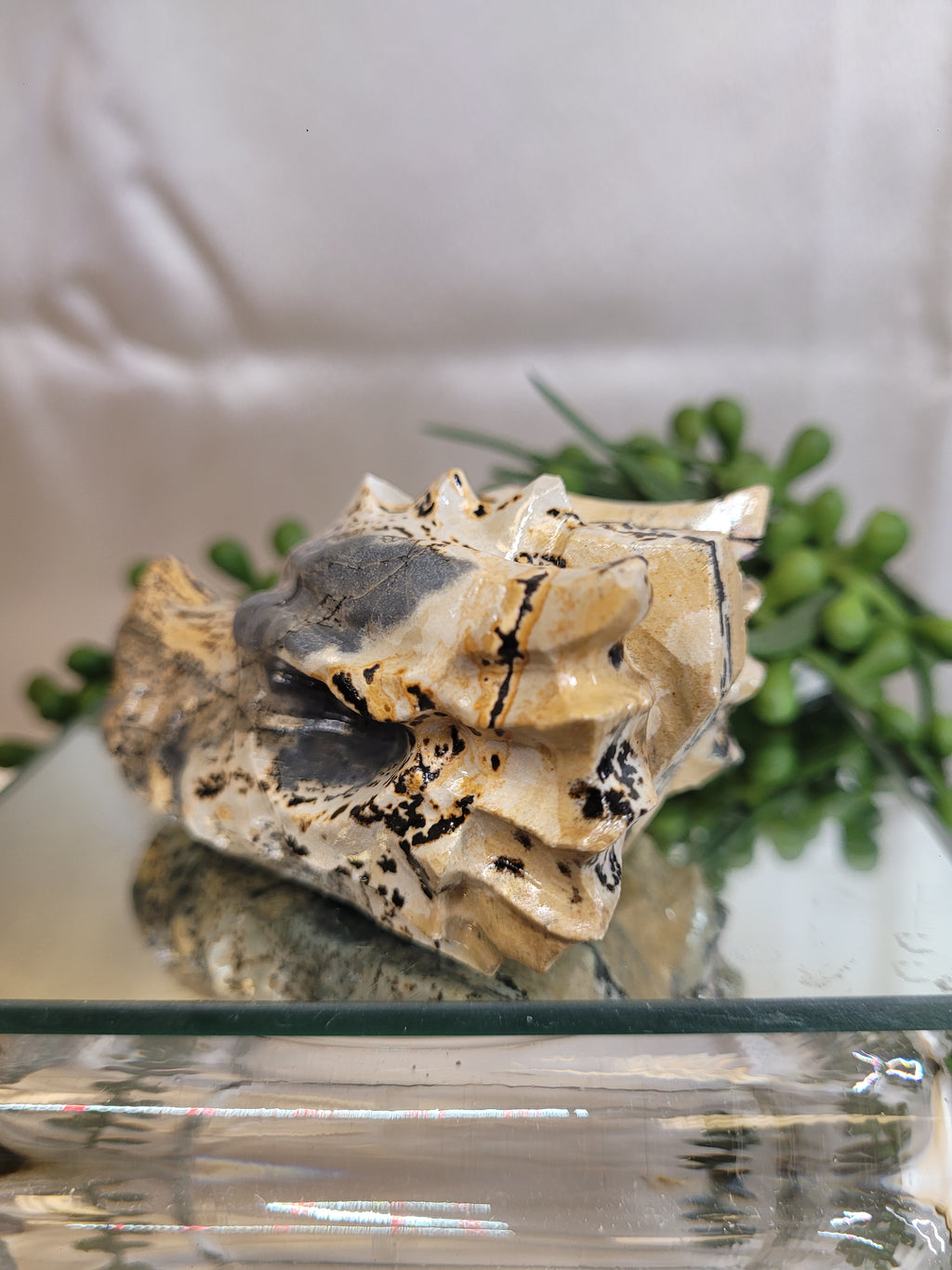 Picture Jasper Dragon Head Carving | Natural Crystal Dragon Skull | 75.2mm | One-of-a-Kind