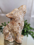 Amber Orbicular Calcite Wolf | UV Reactive
