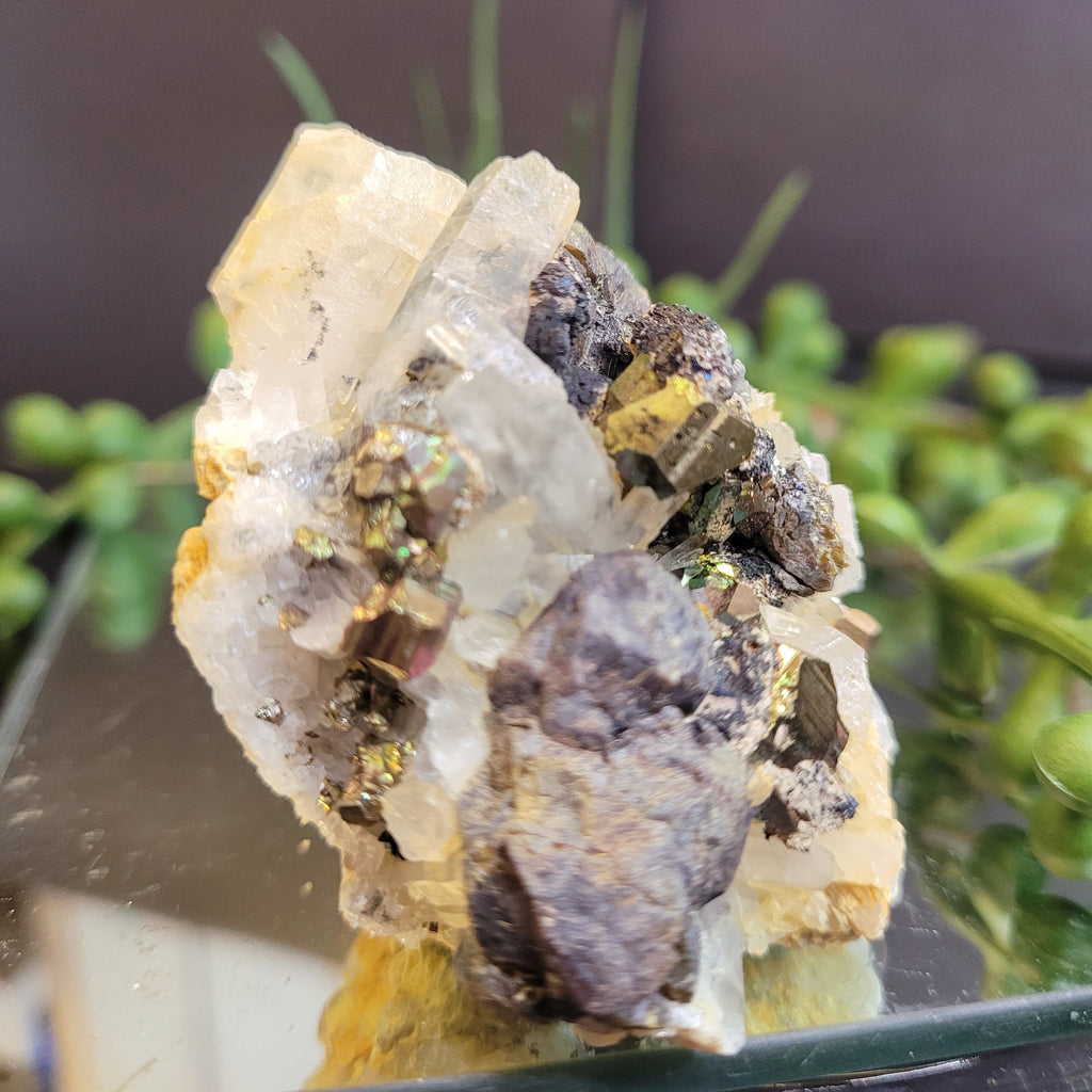 Pyrite with Quartz Crystal Cluster | Natural Metallic Mineral Specimen | 108g Collector Display Piece