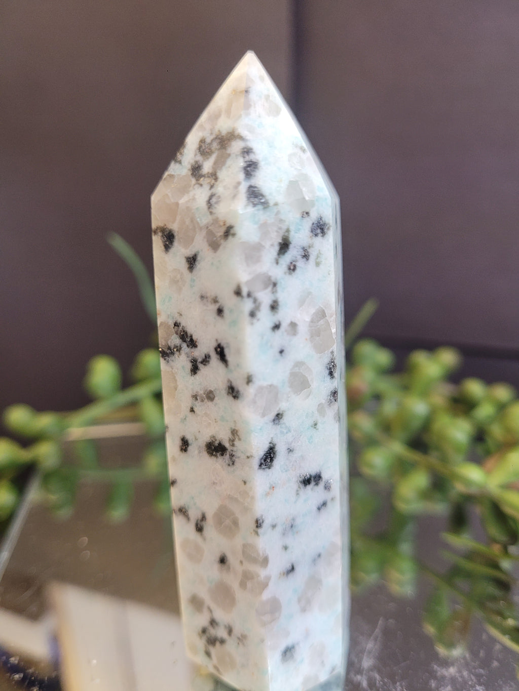 Natural Kiwi Jasper Crystal Tower | Polished Kiwi Stone Point | Black Tourmaline Inclusions | One-of-a-Kind