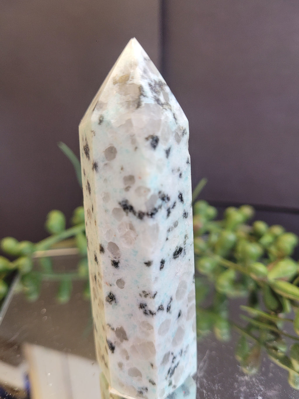 Natural Kiwi Jasper Crystal Tower | Polished Kiwi Stone Point | Black Tourmaline Inclusions | One-of-a-Kind