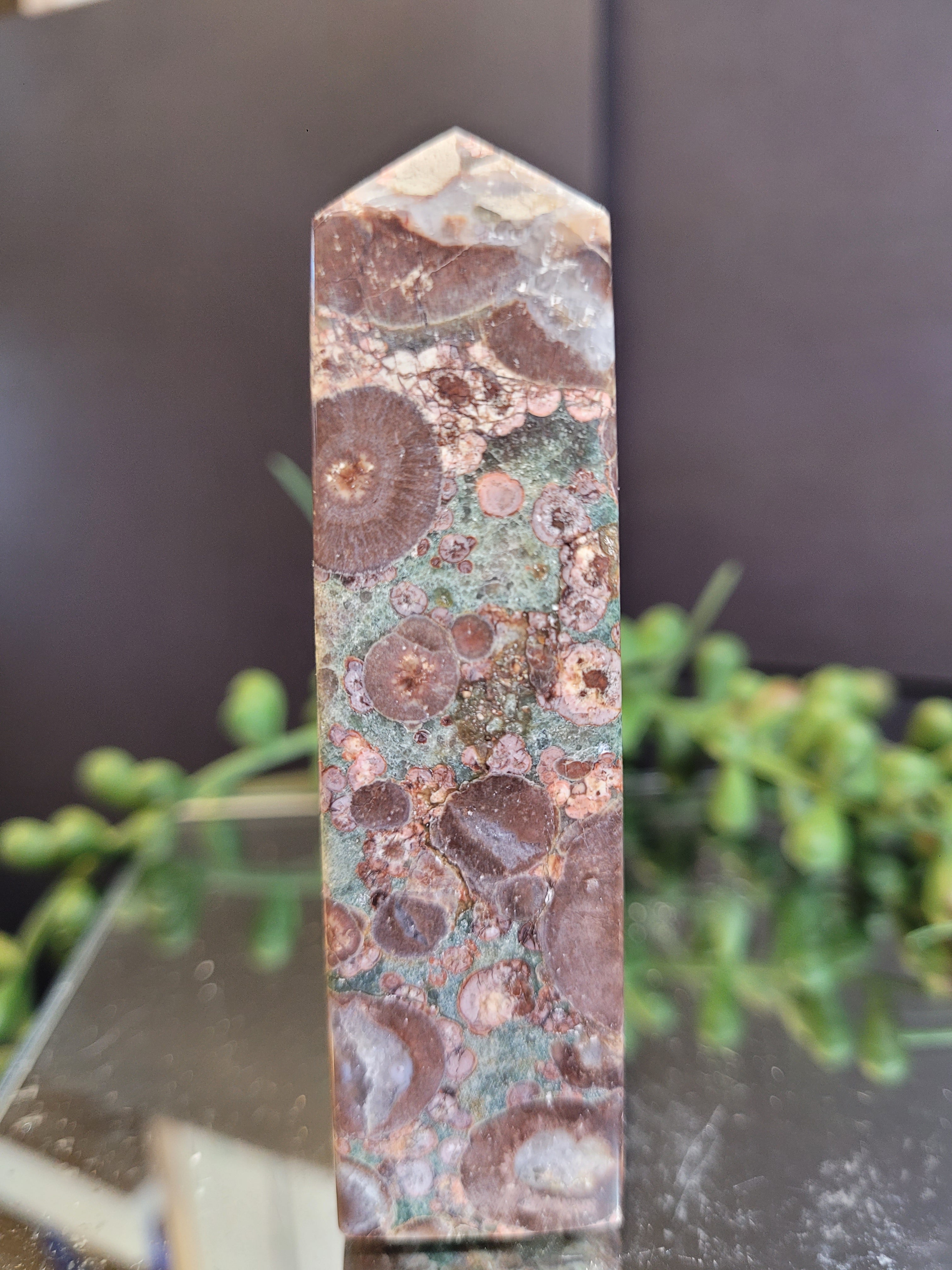 Rainforest Jasper Tower | Natural Rhyolite Crystal Point | Orbicular Jasper | 93.1mm | 89g