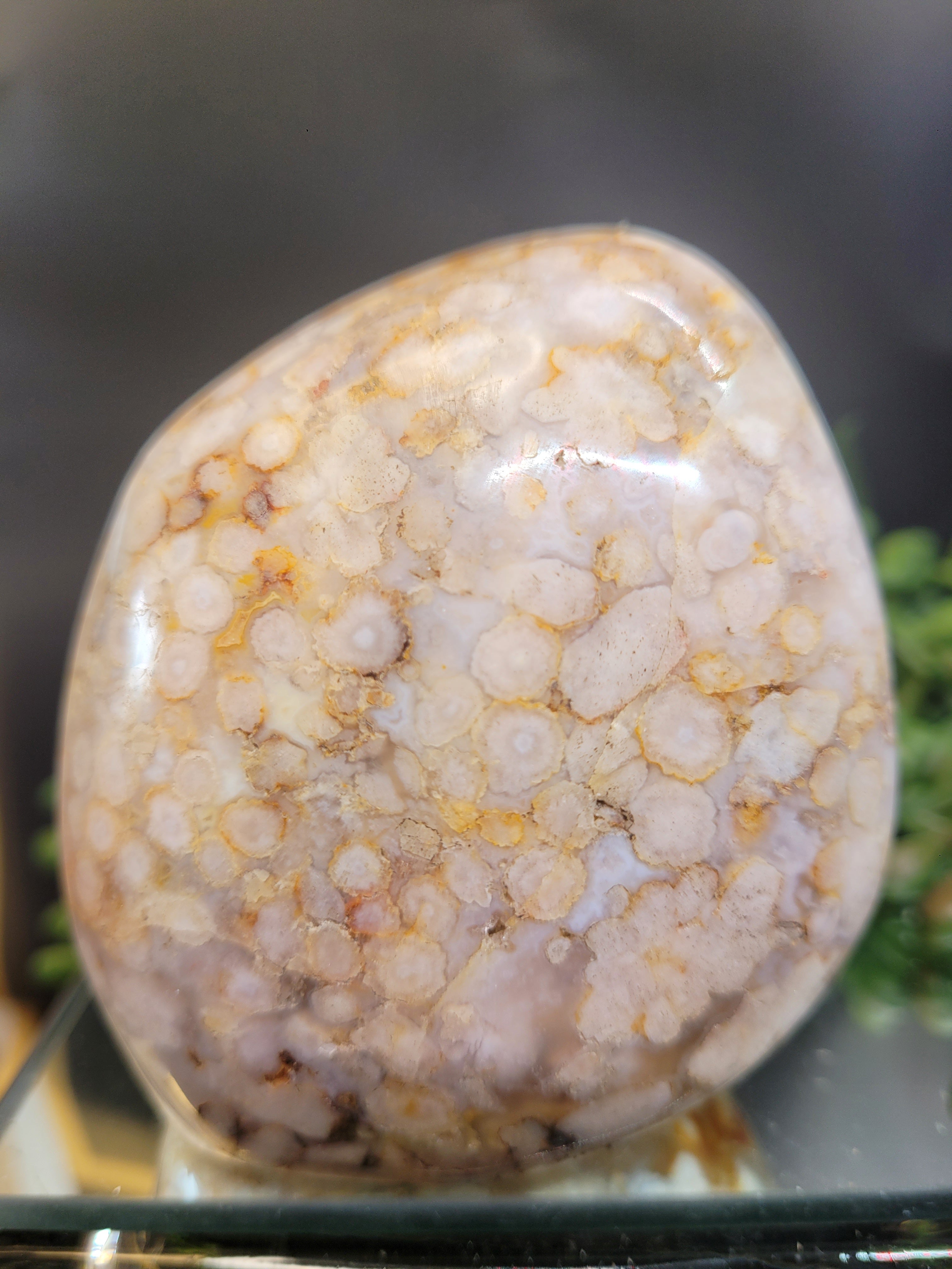 Flower Agate Freeform with UV Reactive Chalcedony
