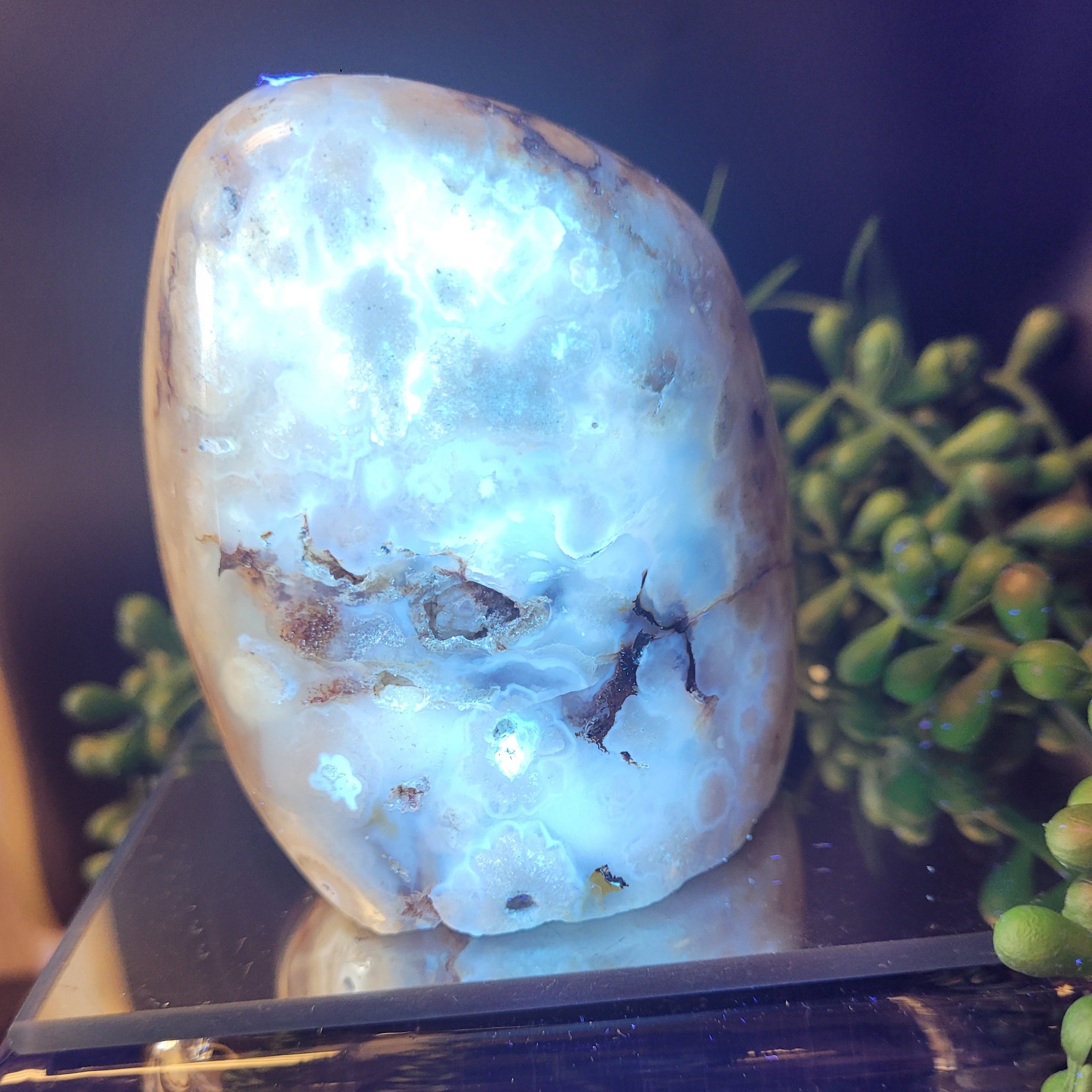 Flower Agate Freeform with UV Reactive Chalcedony