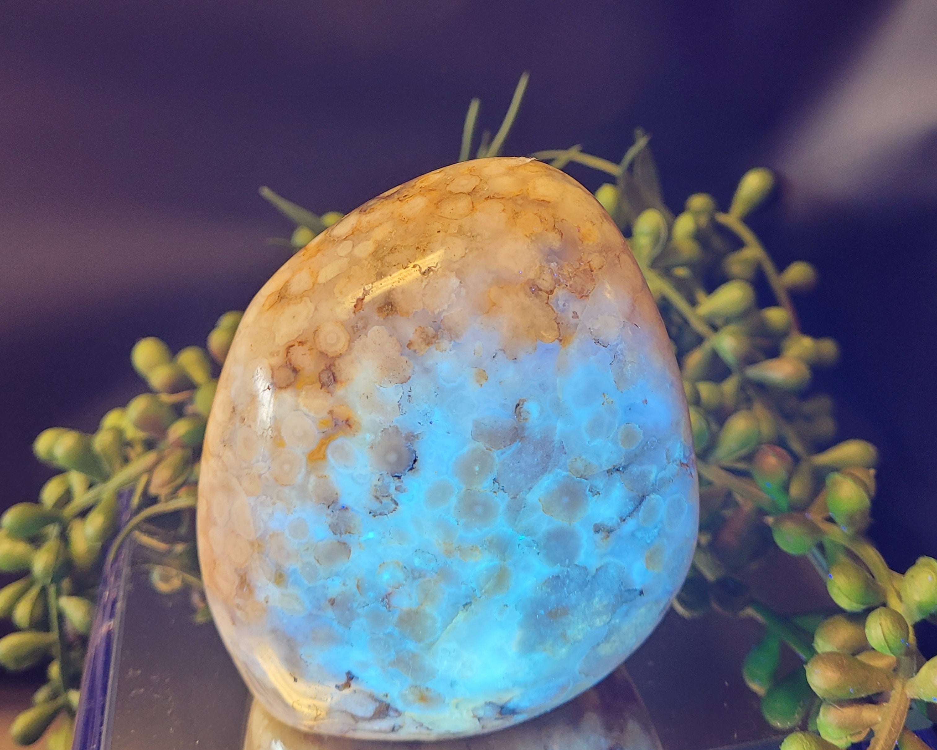 Flower Agate Freeform with UV Reactive Chalcedony