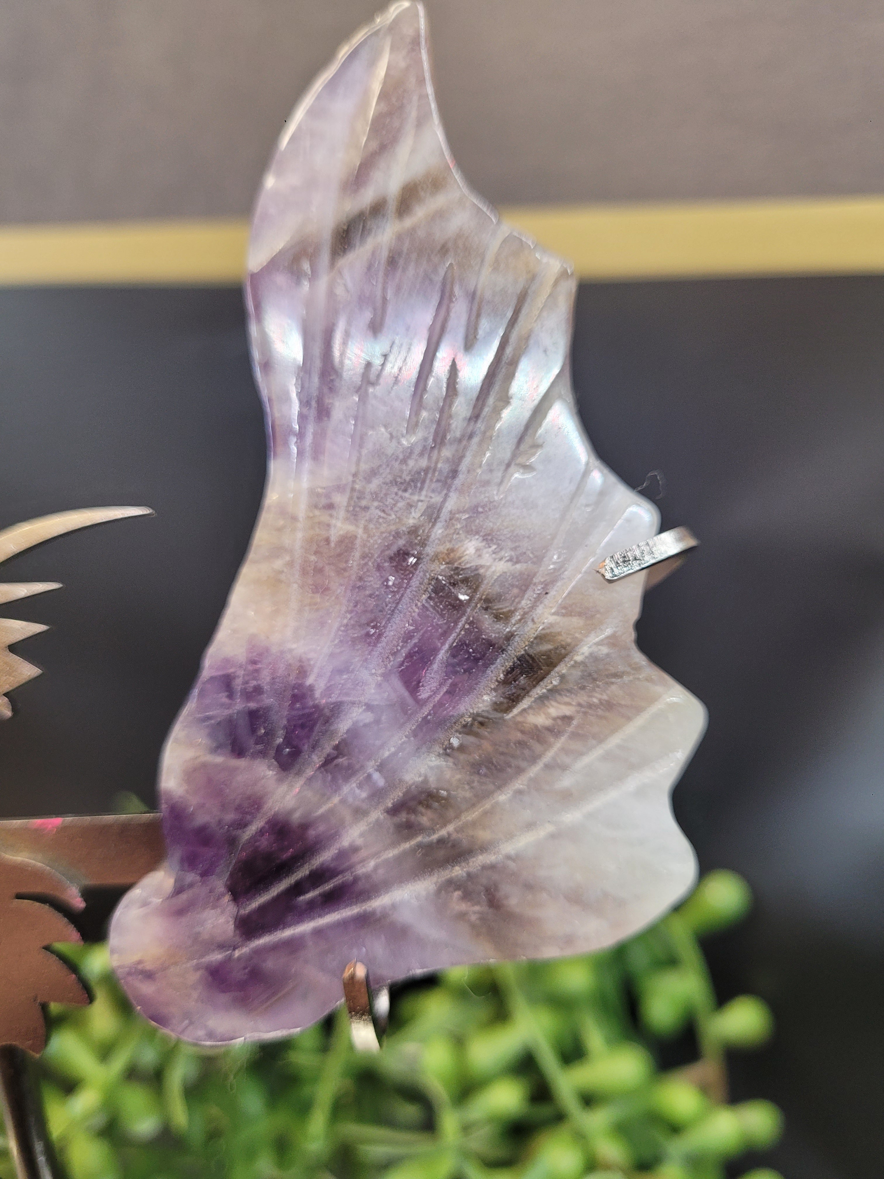 Crystal Dragon Wings on Stand | Choose Your Stone