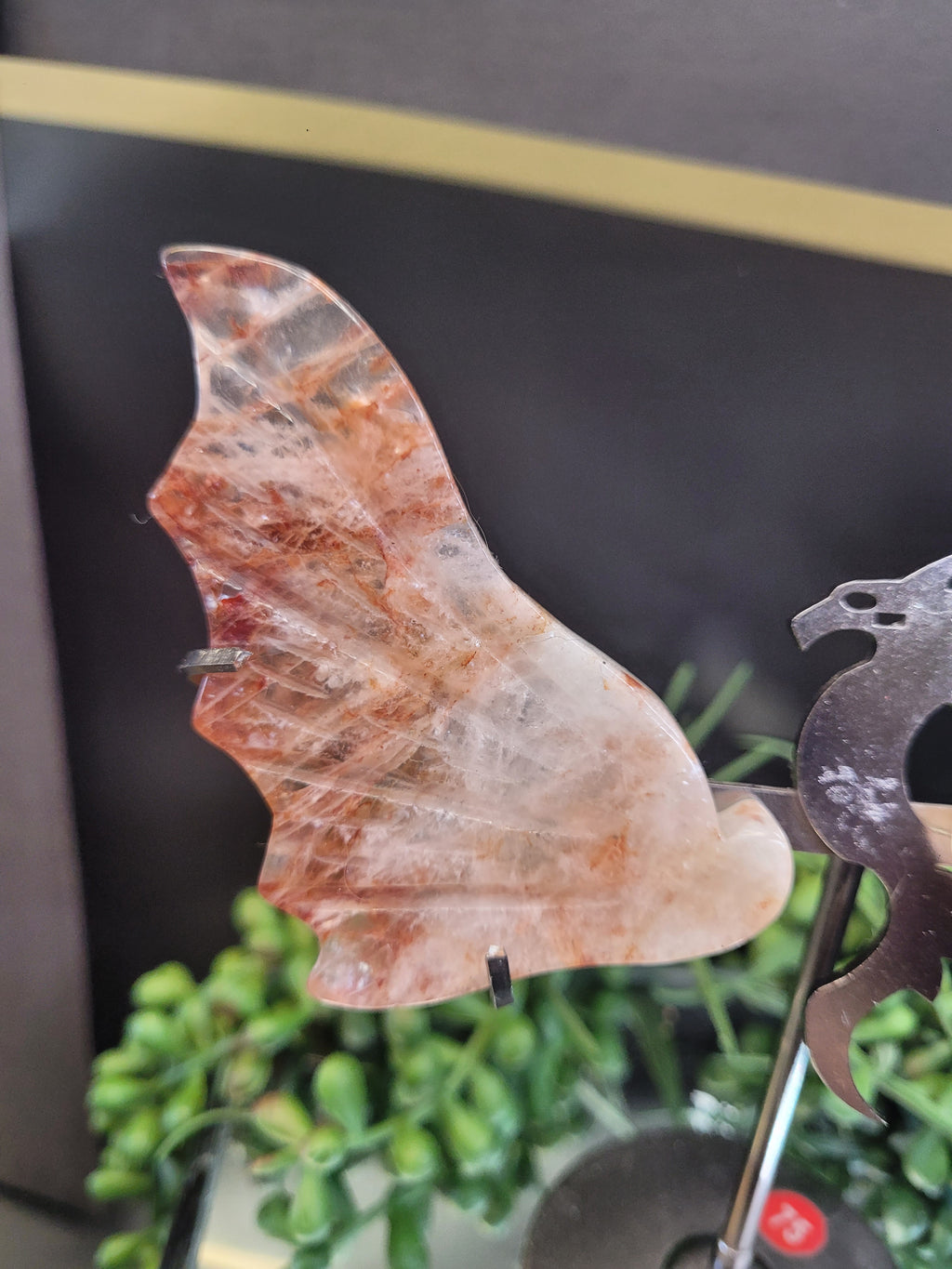 Crystal Dragon Wings on Stand | Choose Your Stone