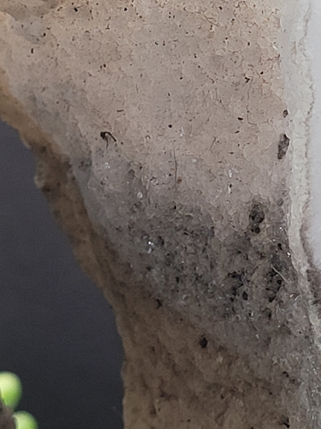 Blush White Onyx Portal Tower with Natural Druzy Window