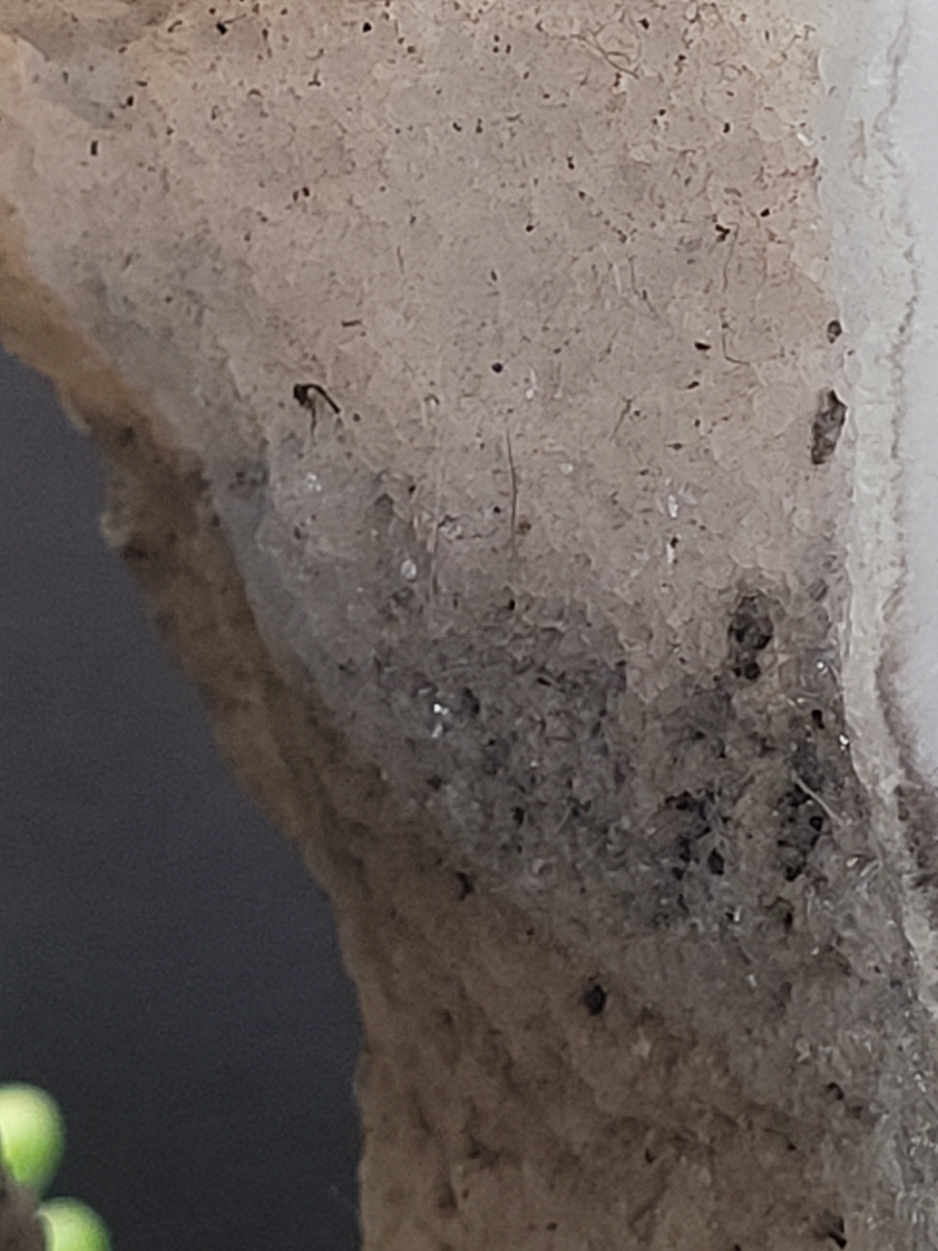 Blush White Onyx Portal Tower with Natural Druzy Window