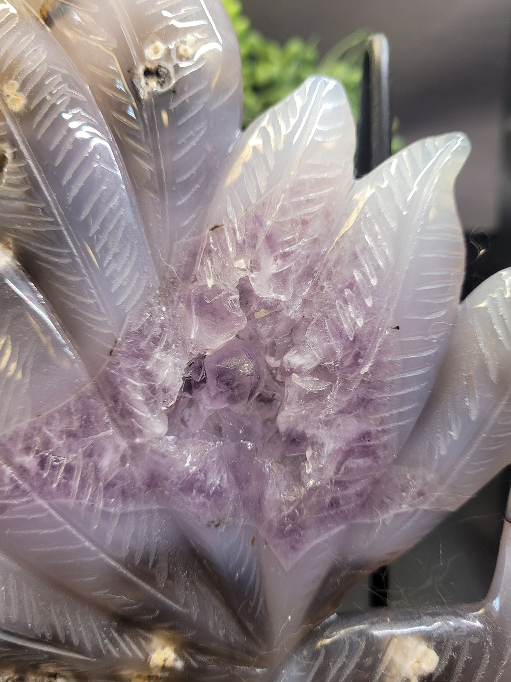 Agate Fox with Amethyst Druzy Feather Display