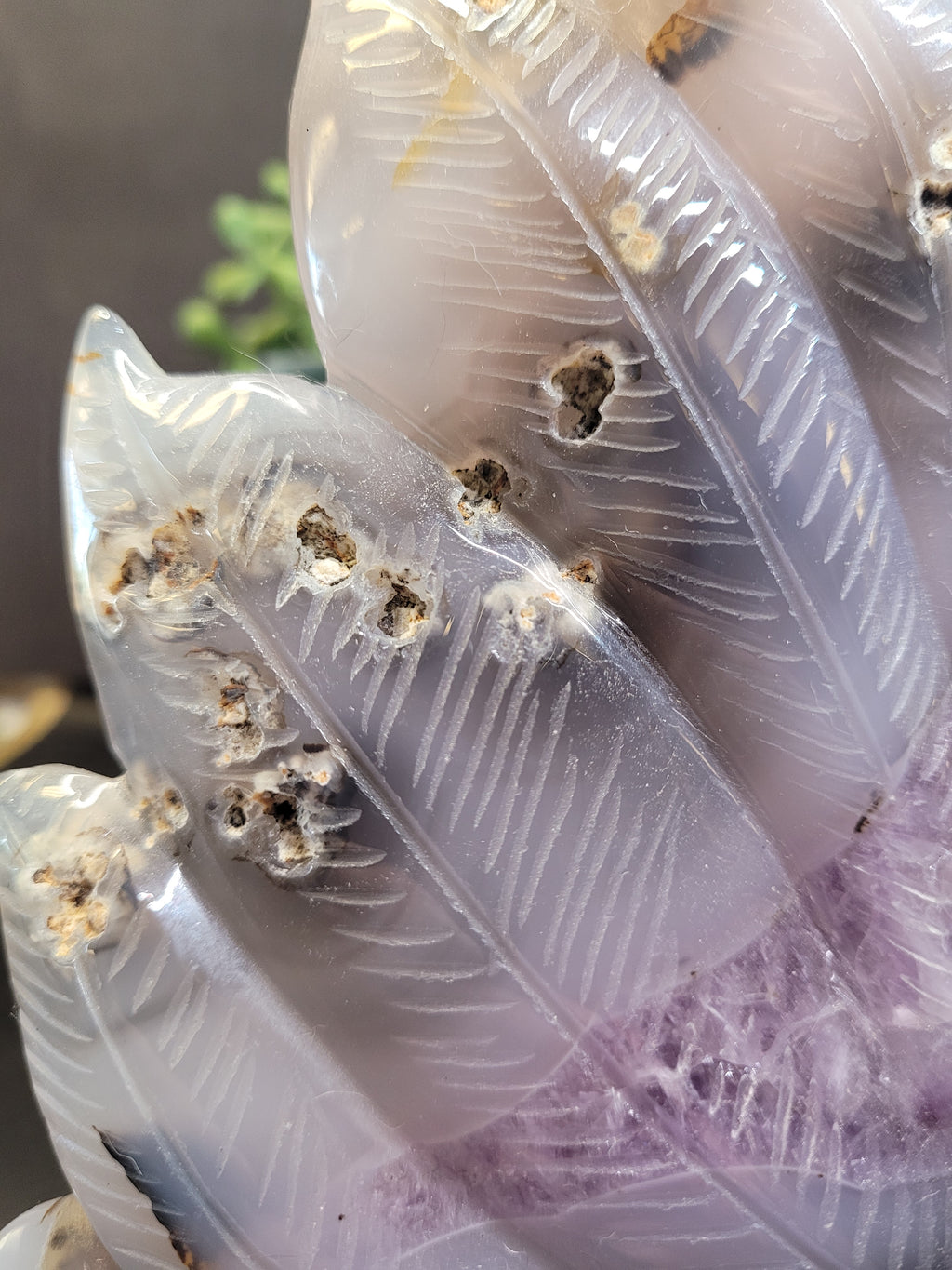 Agate Fox with Amethyst Druzy Feather Display