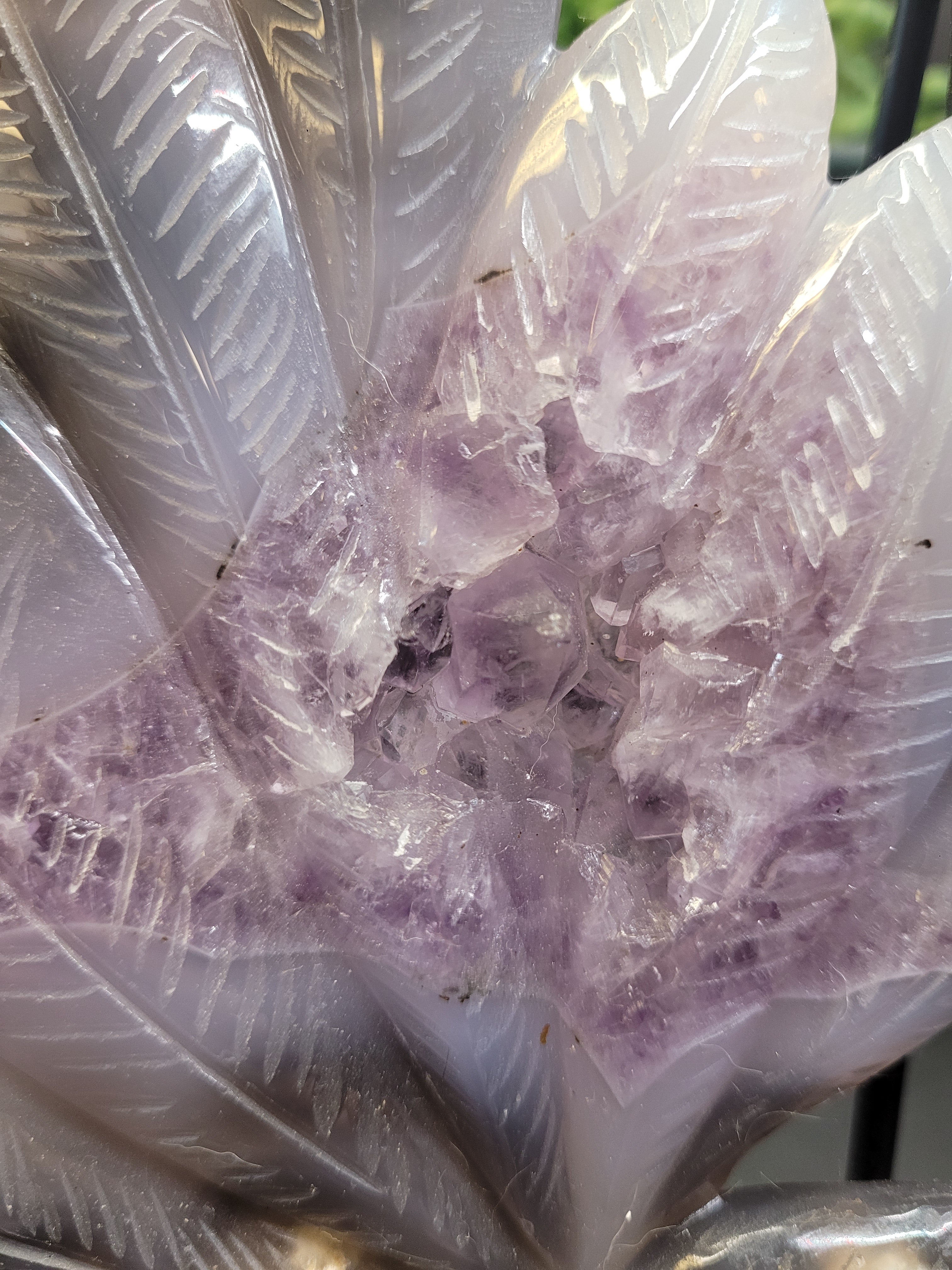 Agate Fox with Amethyst Druzy Feather Display