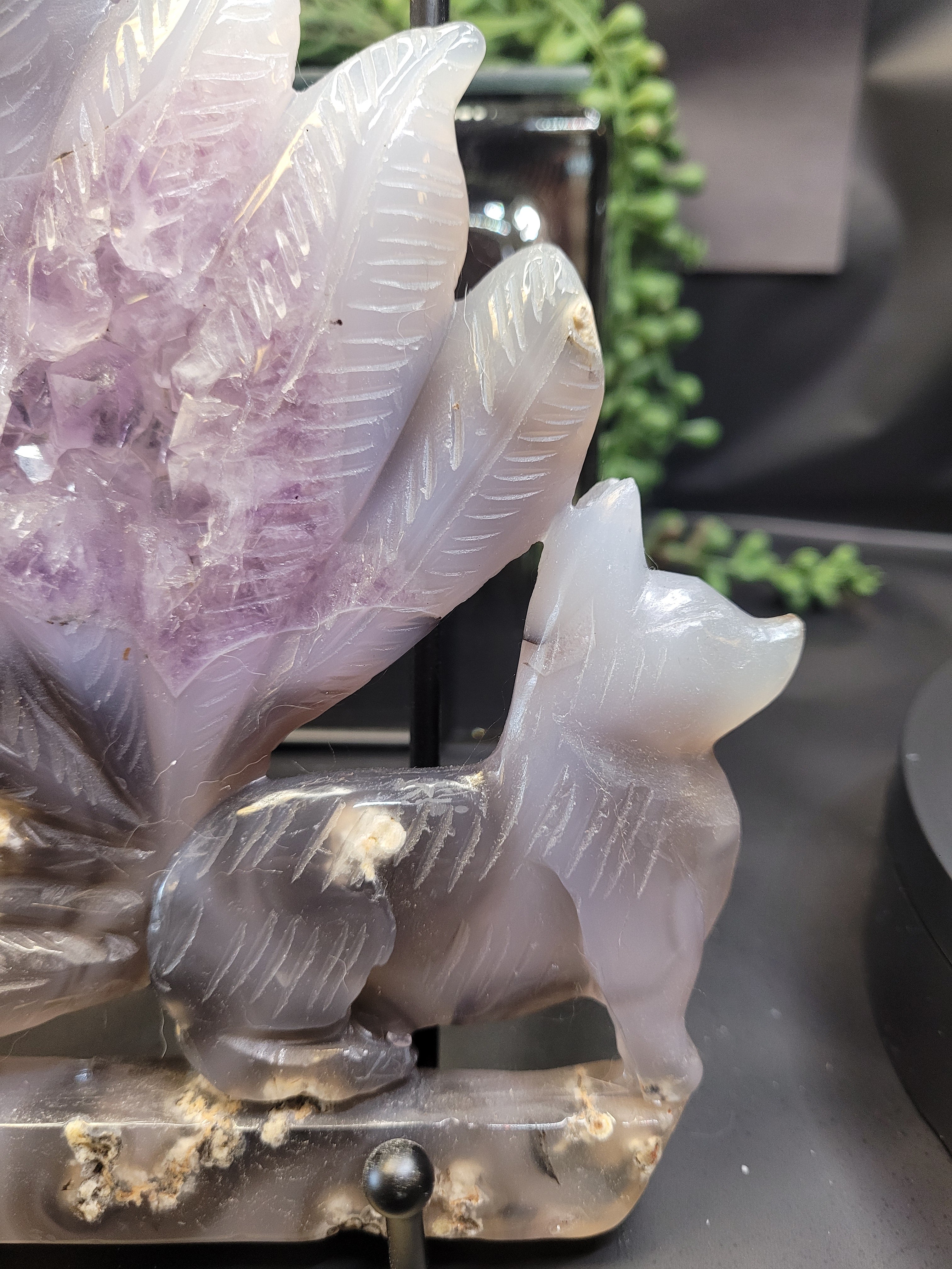 Agate Fox with Amethyst Druzy Feather Display