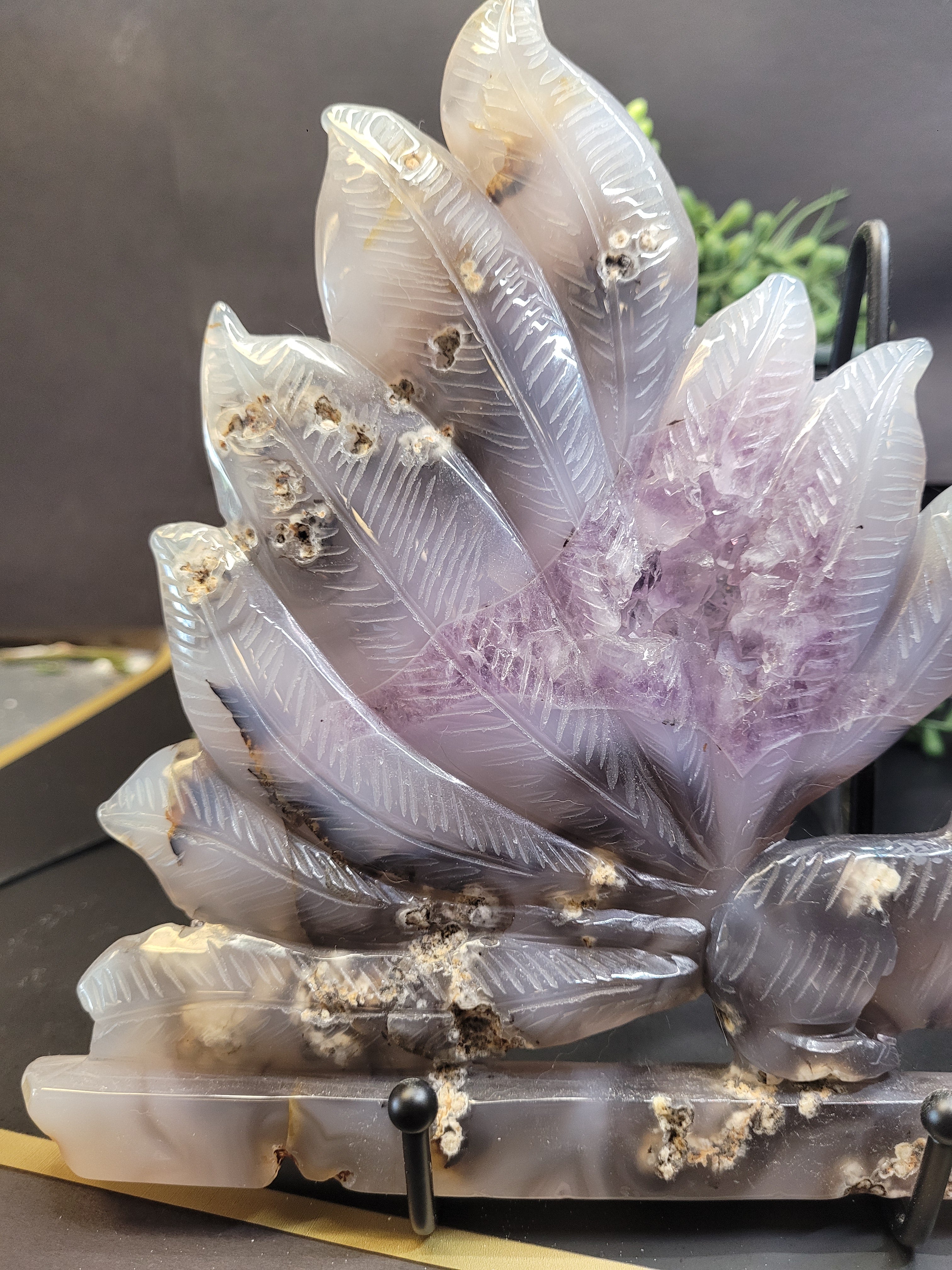 Agate Fox with Amethyst Druzy Feather Display