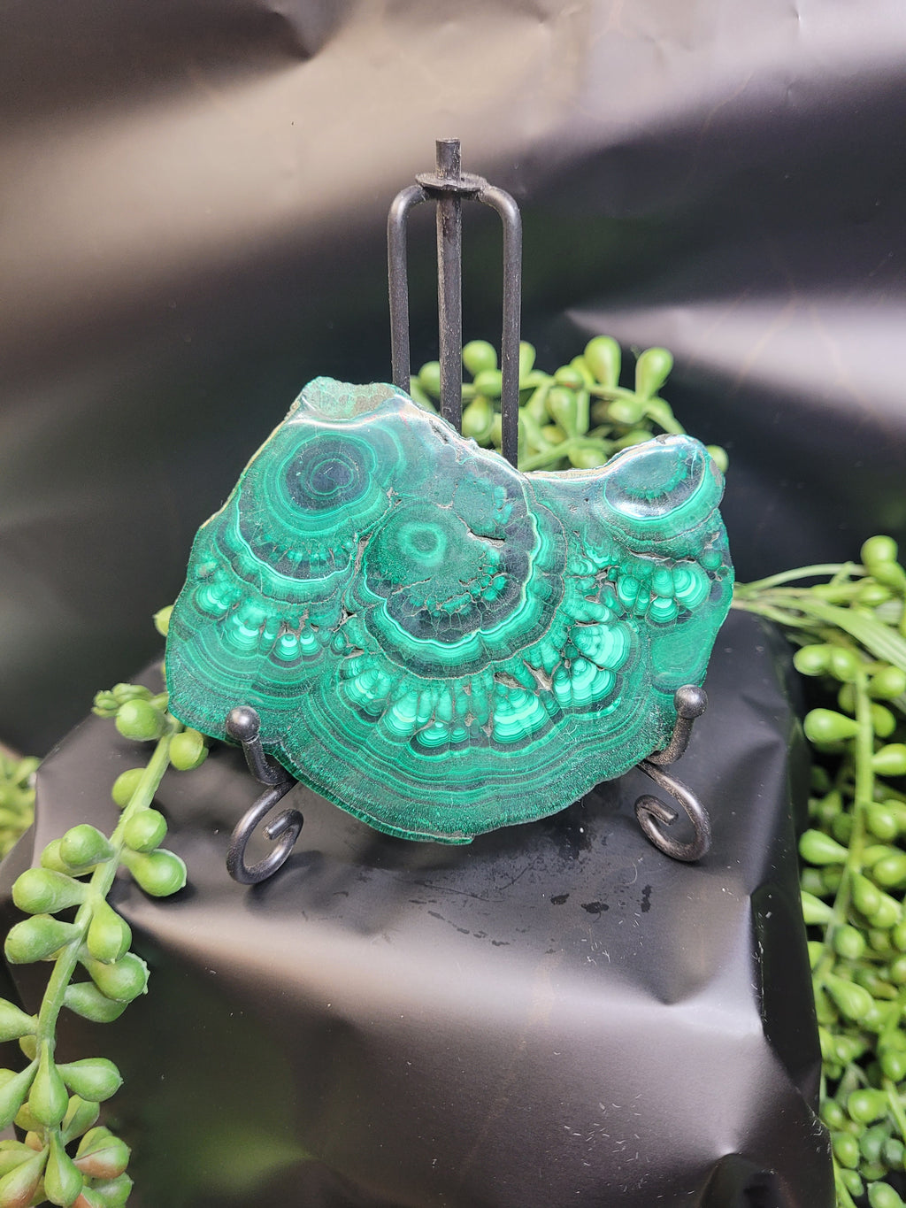 Malachite Slice • Polished Natural Cross Section