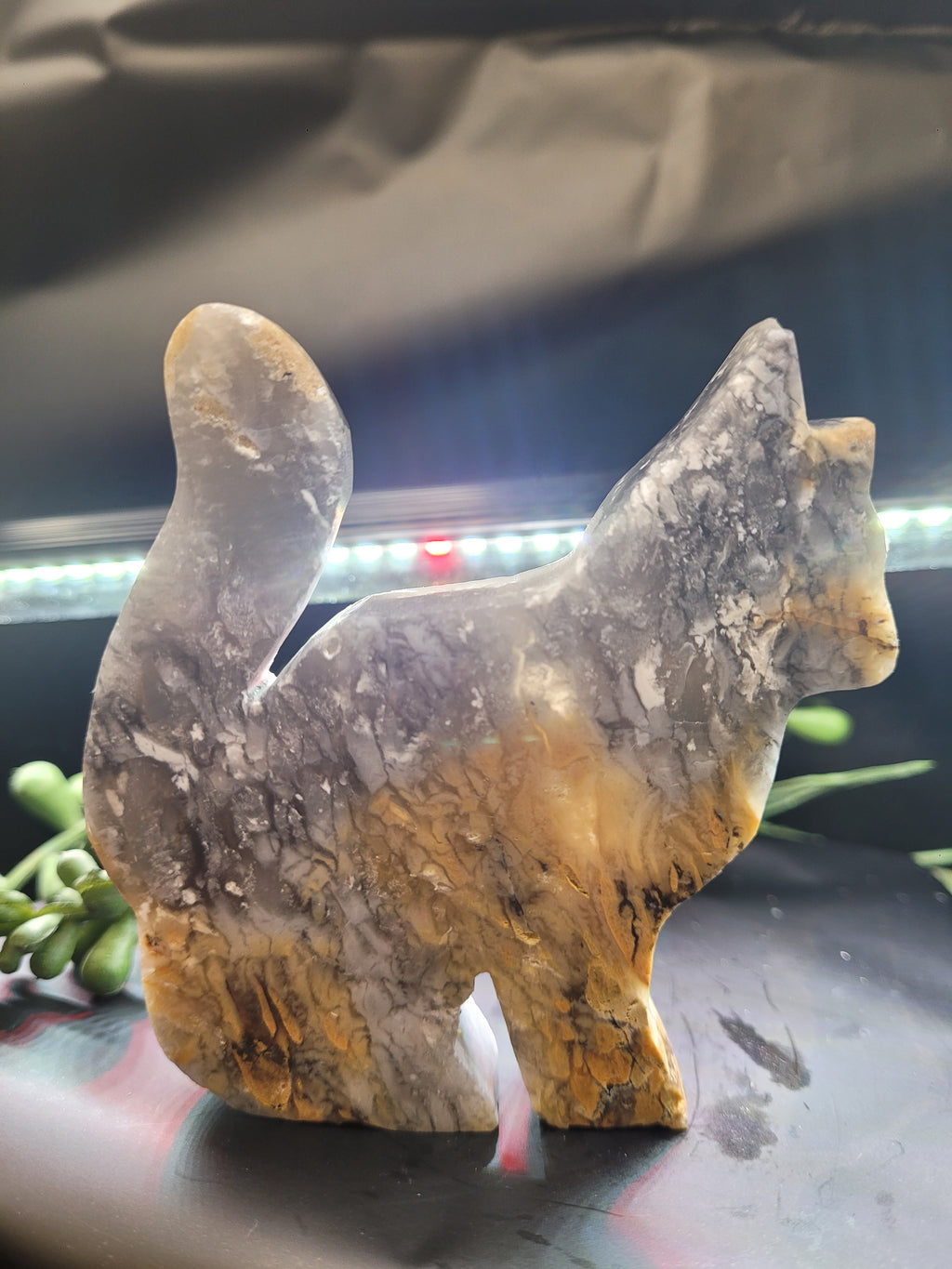 Blue Plume Agate Cat Carving