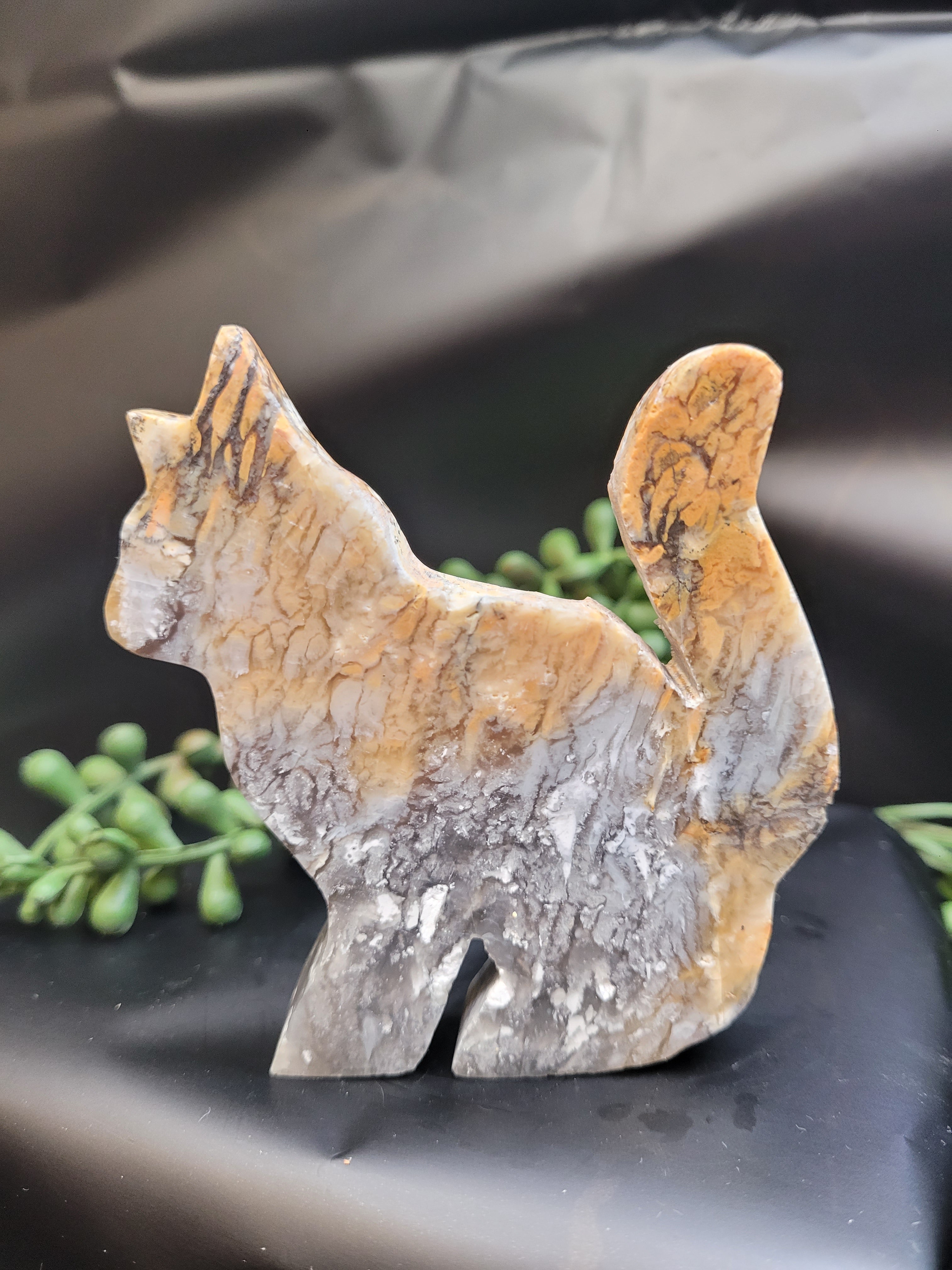 Blue Plume Agate Cat • Autumn Plume Carving