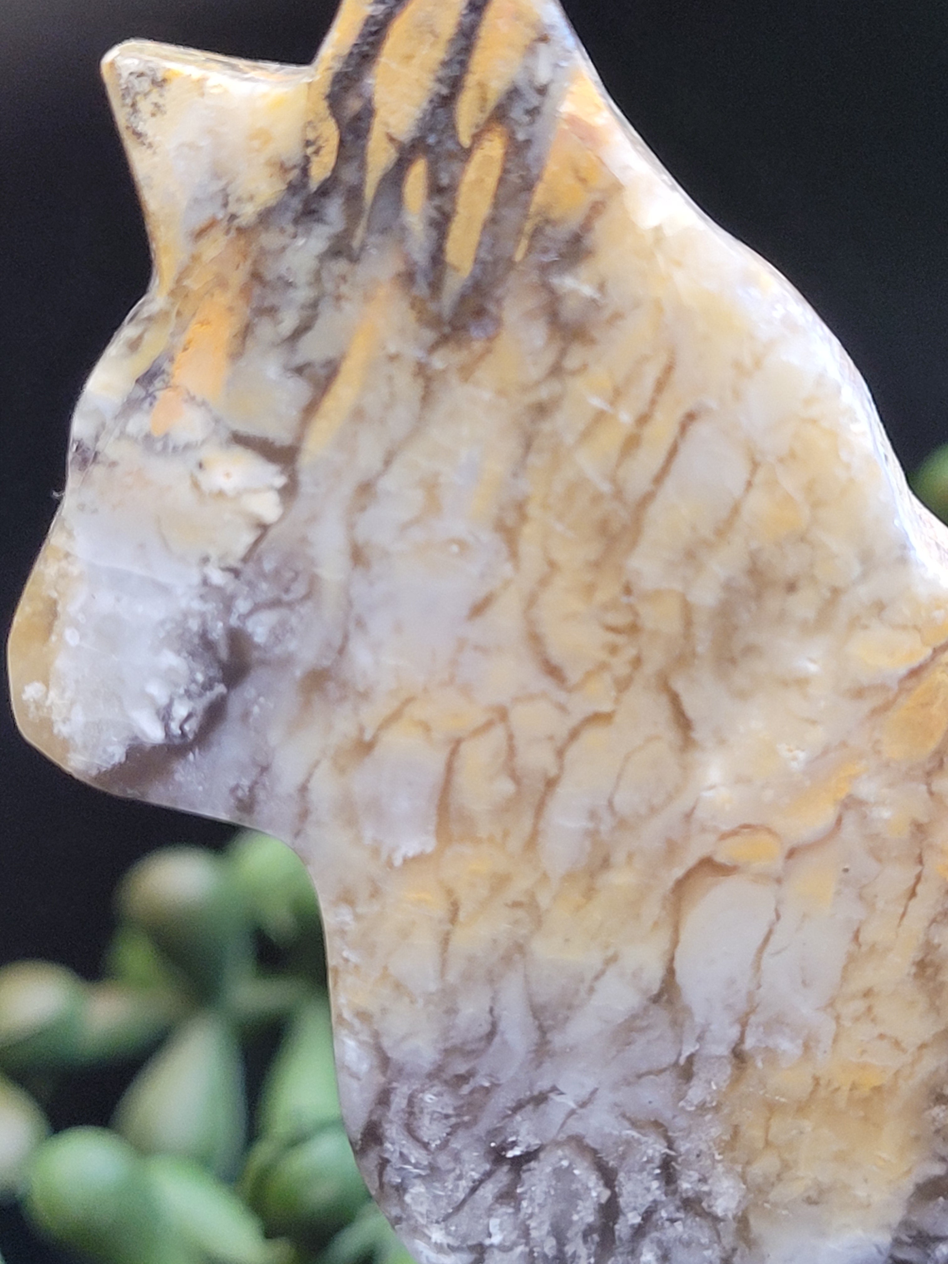 Blue Plume Agate Cat • Autumn Plume Carving