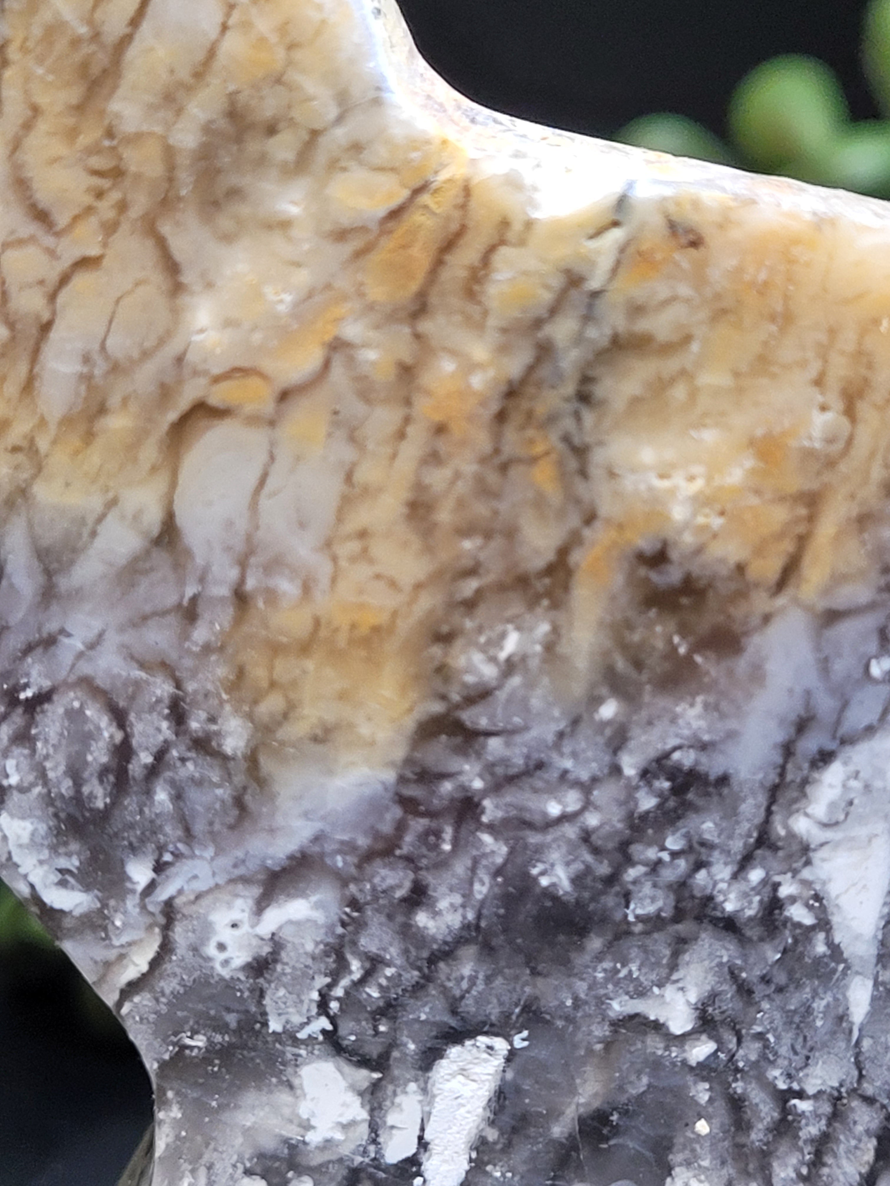 Blue Plume Agate Cat • Autumn Plume Carving