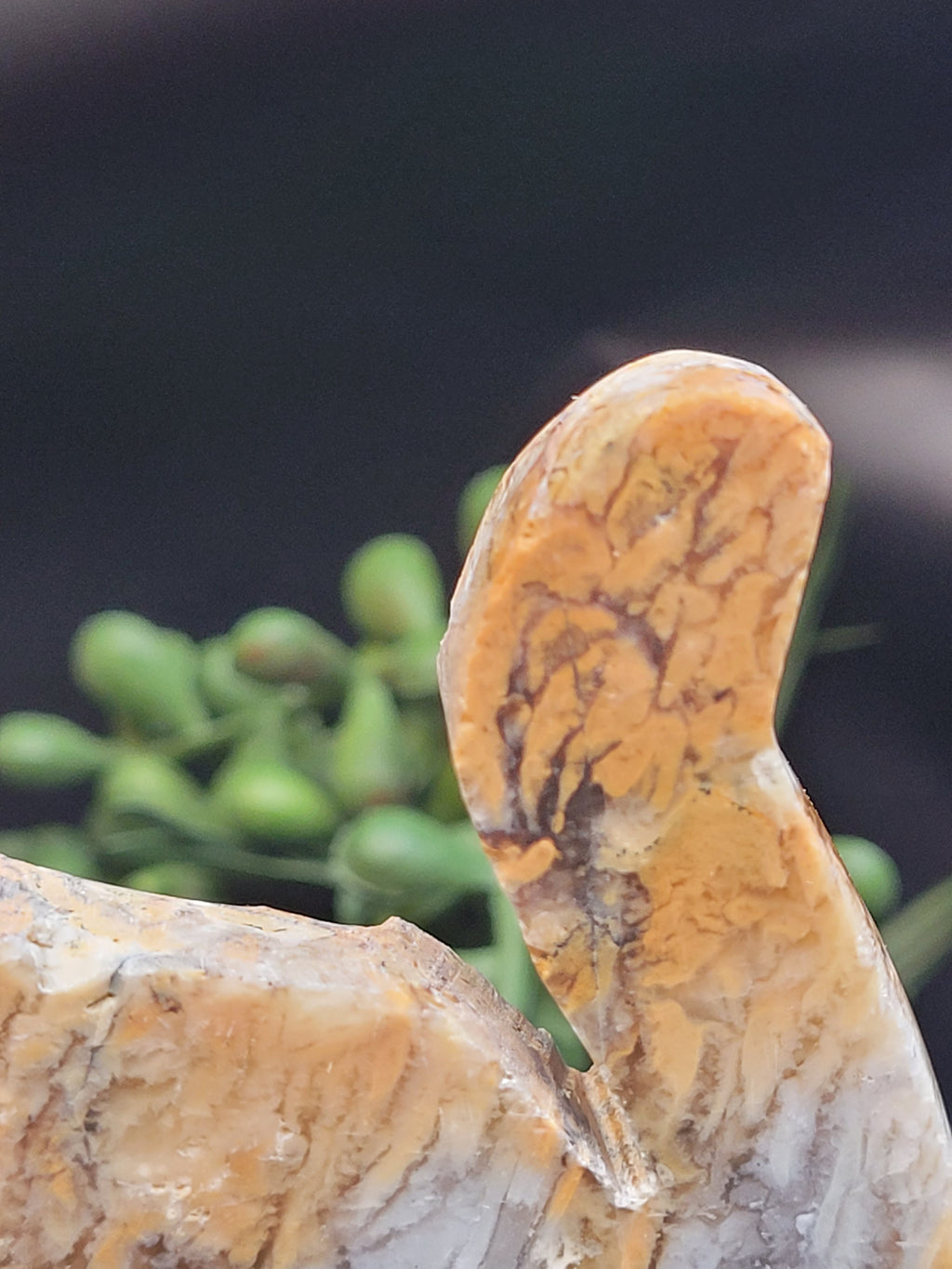 Blue Plume Agate Cat • Autumn Plume Carving